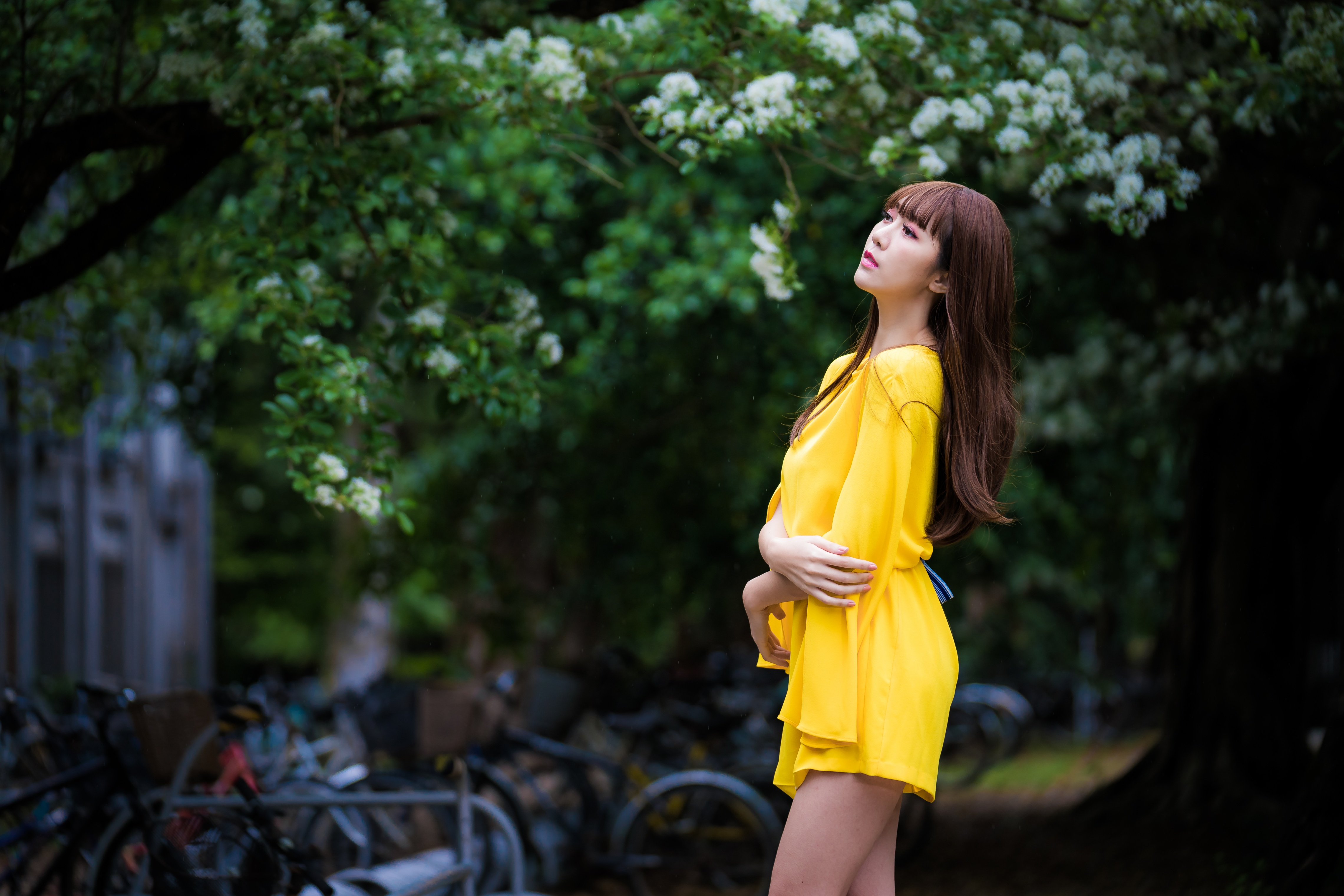 People 4562x3043 Asian women model long hair brunette depth of field yellow dress bicycle trees looking away