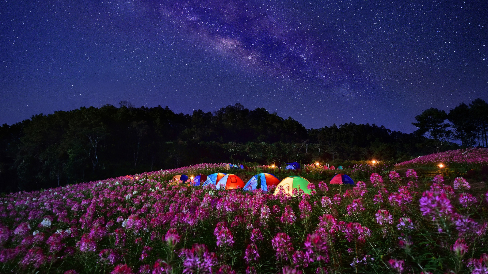 General 1920x1080 nature landscape night stars flowers field Milky Way trees forest tent