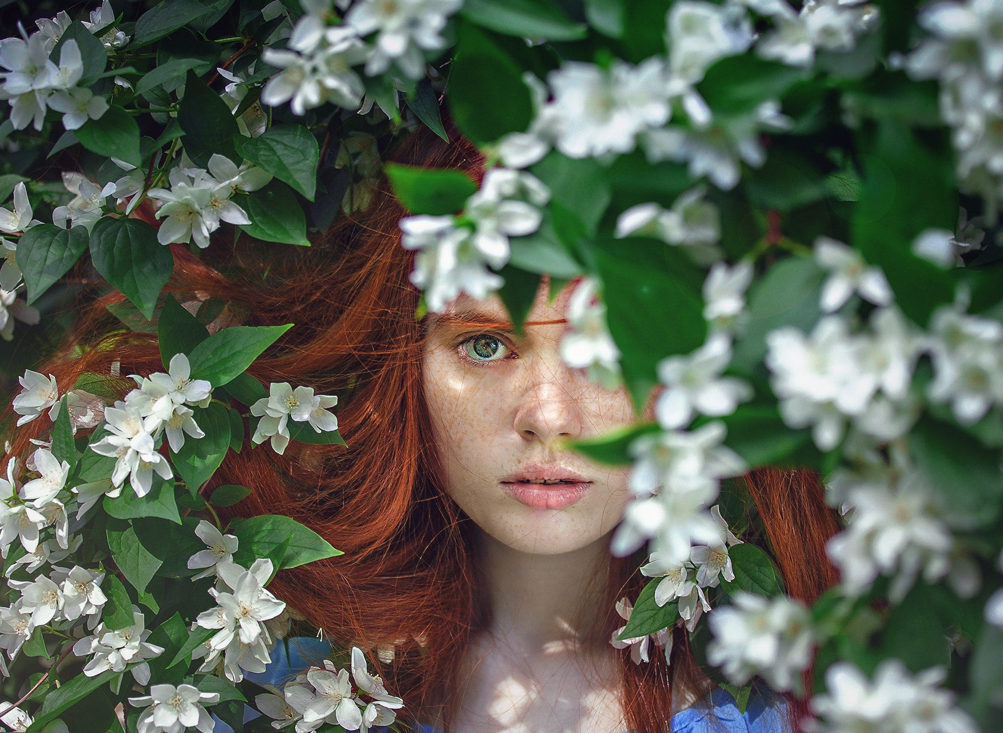 People 2000x1461 women redhead blue eyes long hair leaves flowers model freckles parted lips portrait women outdoors