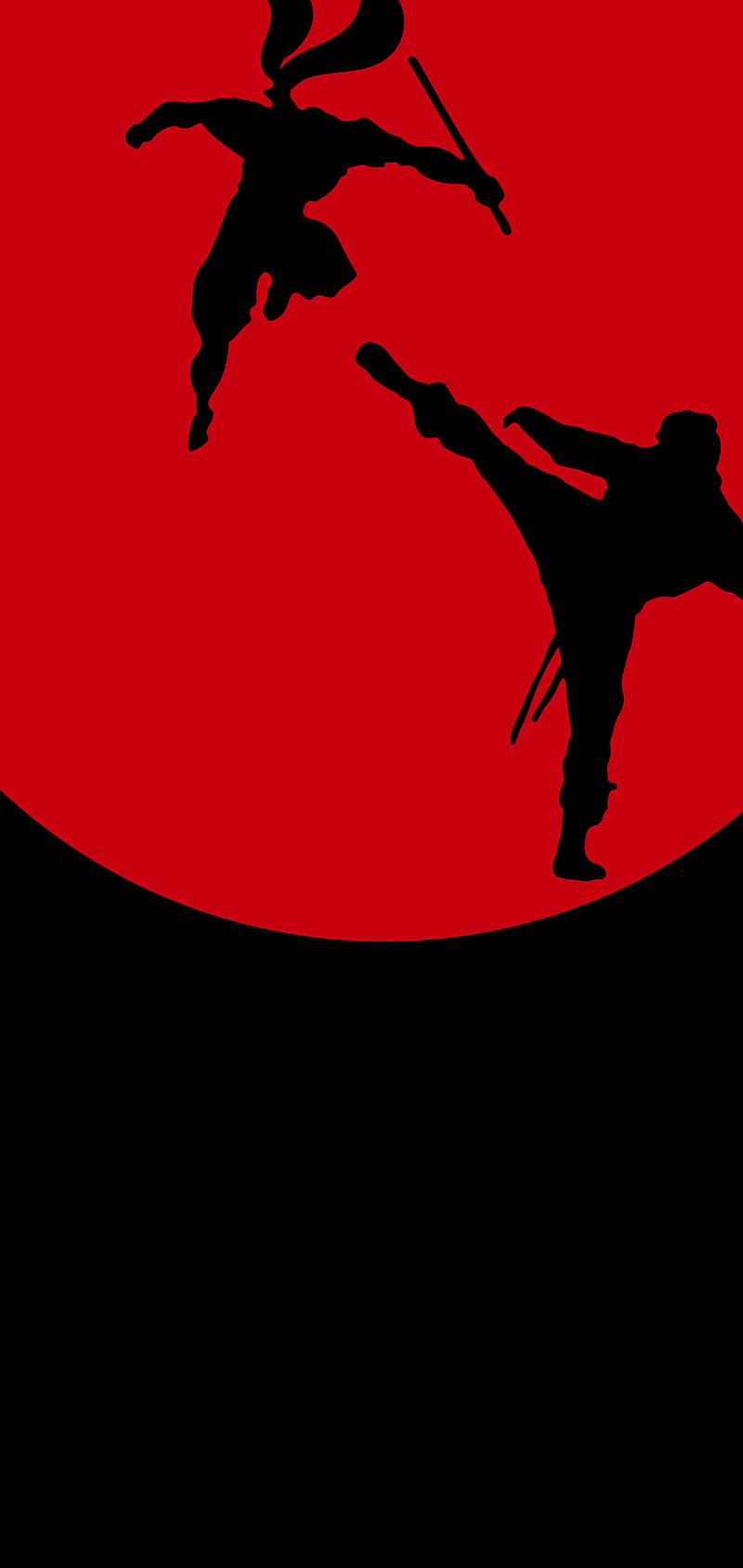 General 800x1689 martial arts men minimalism fighting silhouette artwork