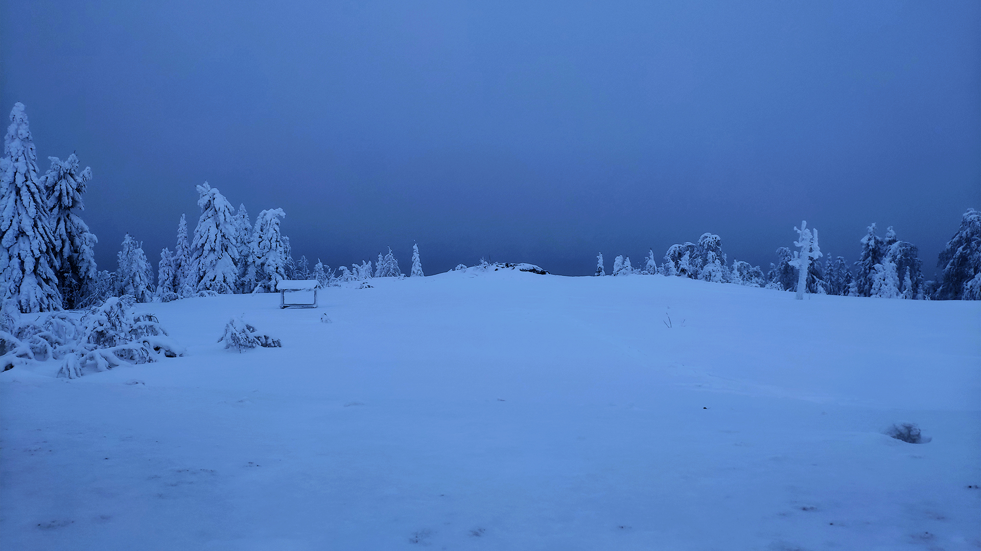 General 1920x1080 nature winter sky snow blue night trees landscape