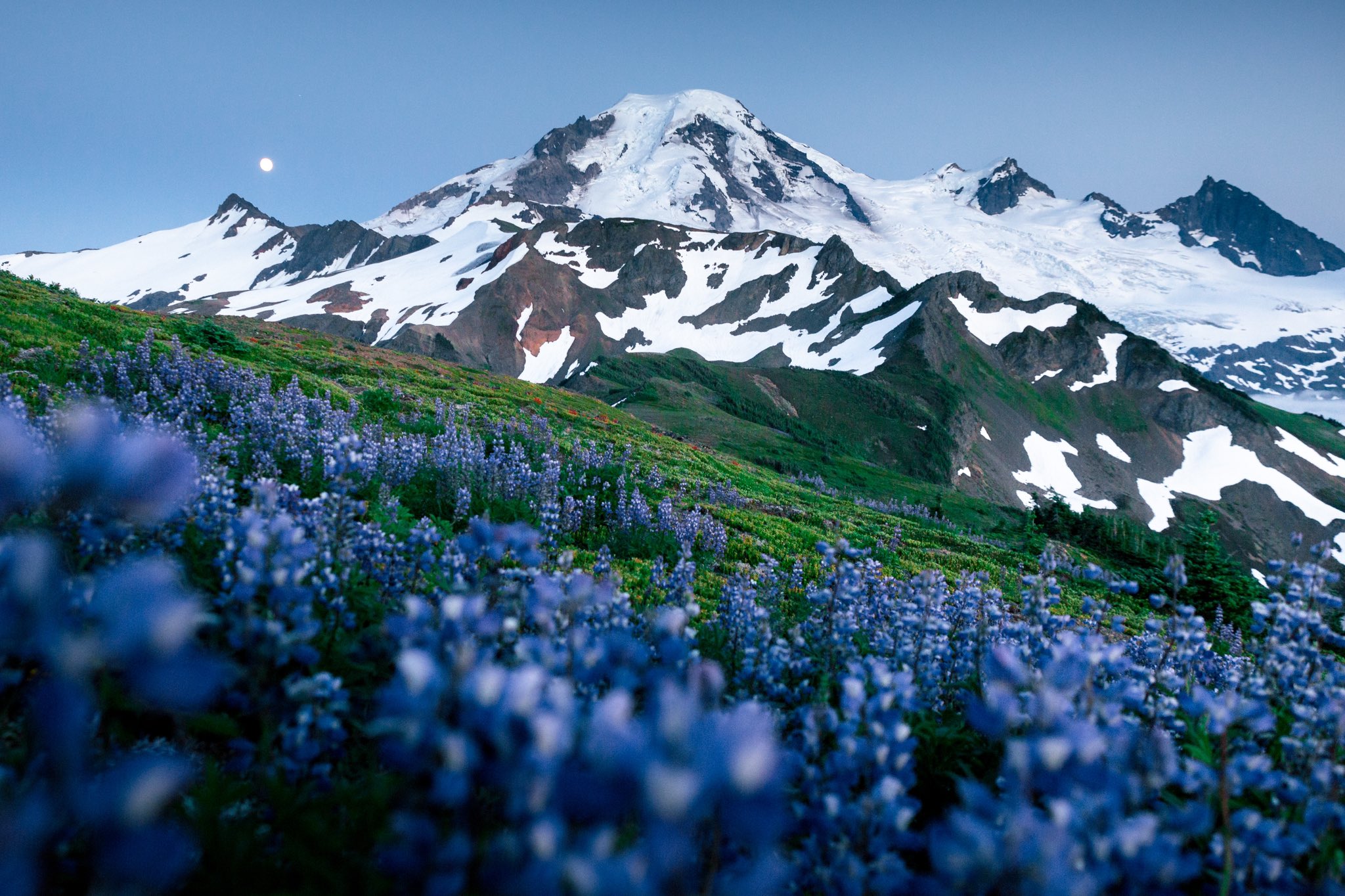 General 2048x1364 nature Moon mountains landscape sky flowers grass snow ice blue flowers lupines Washington