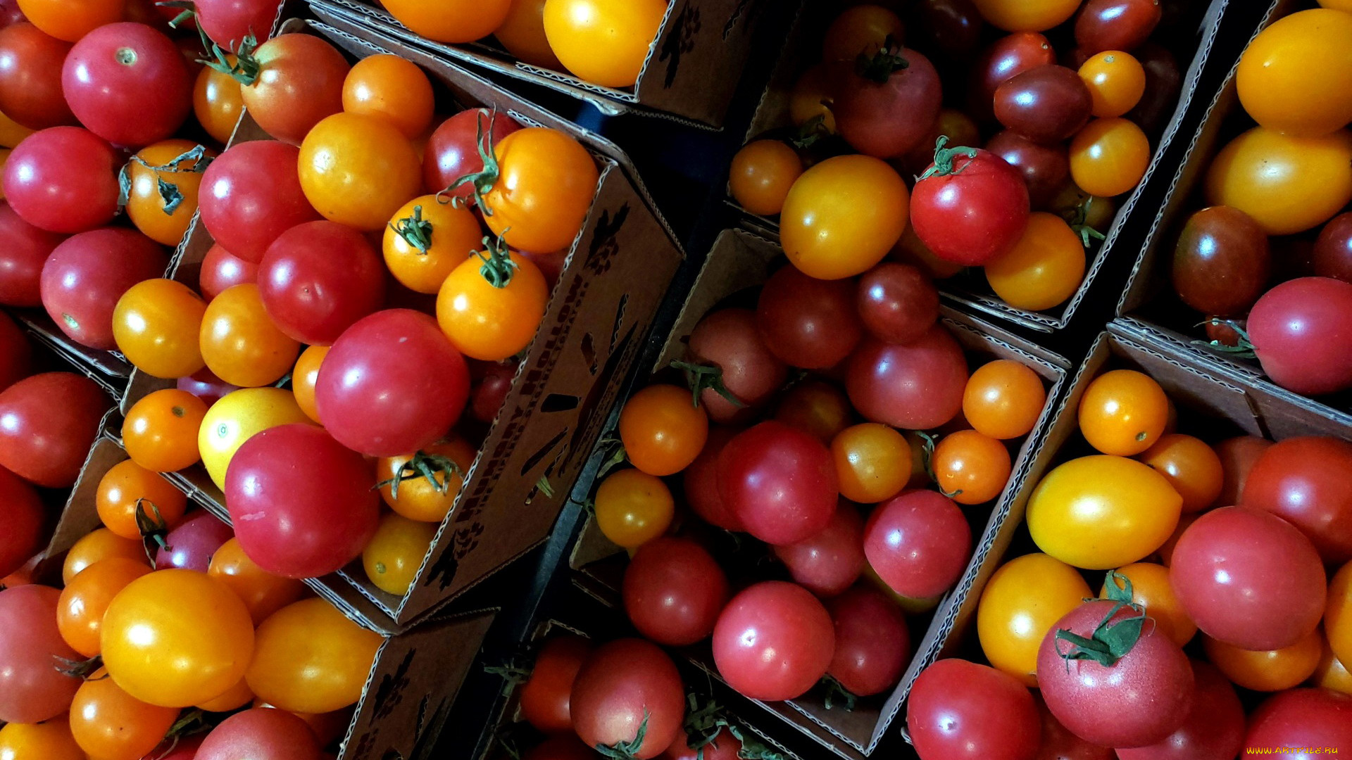General 1920x1080 colorful food vegetables tomatoes