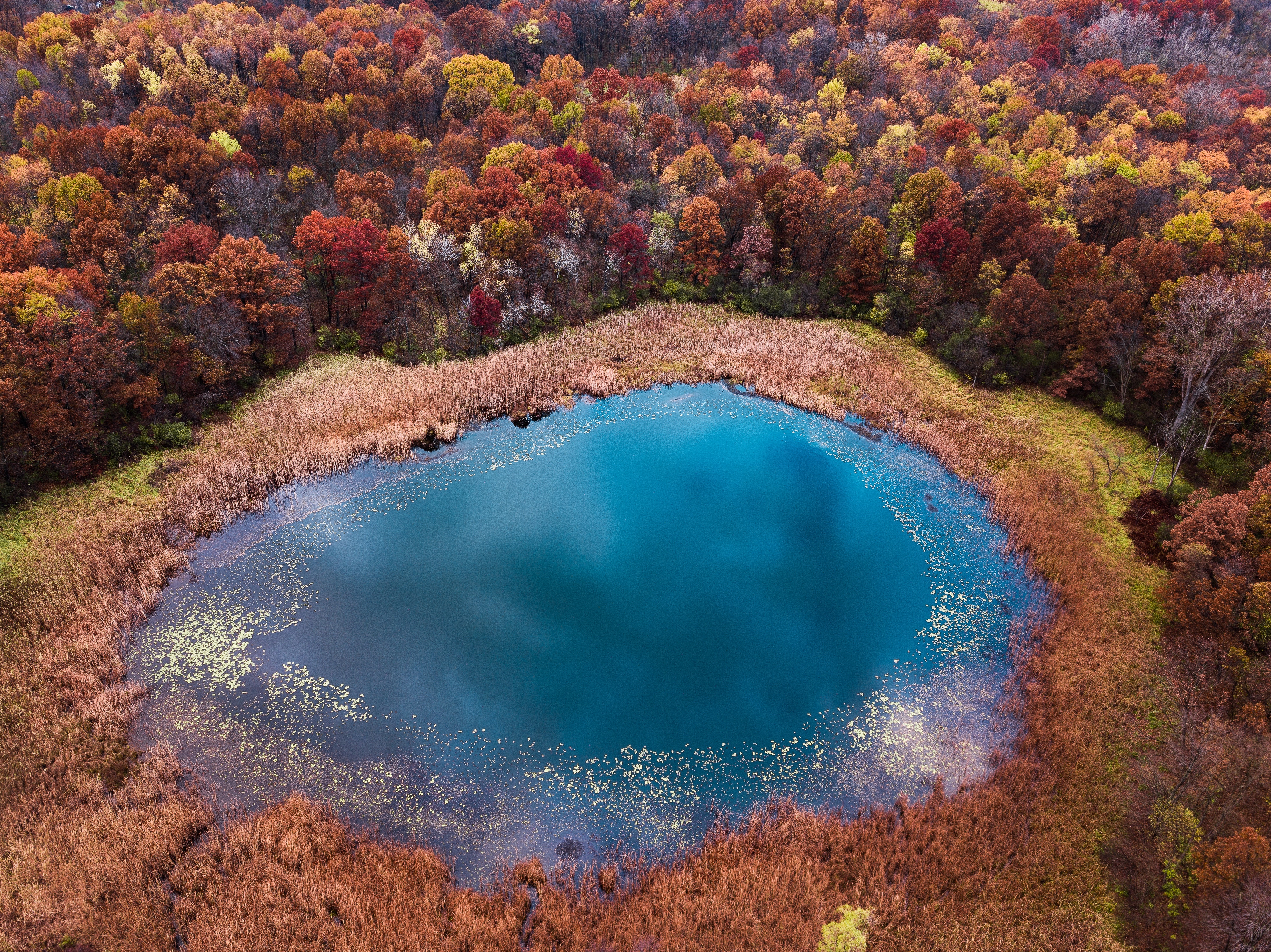 General 3990x2989 nature fall trees pond water