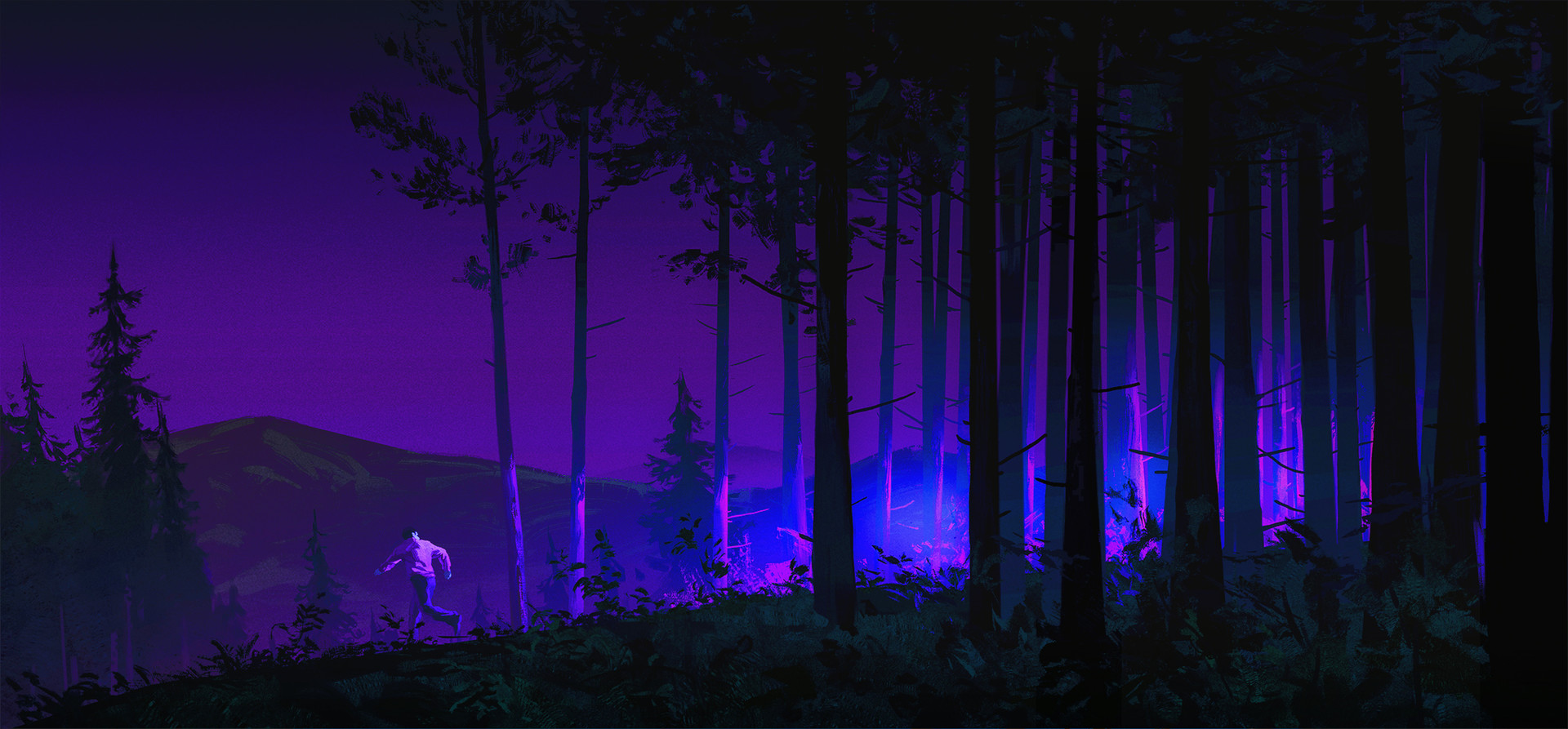 General 1920x893 artwork digital art forest nature night
