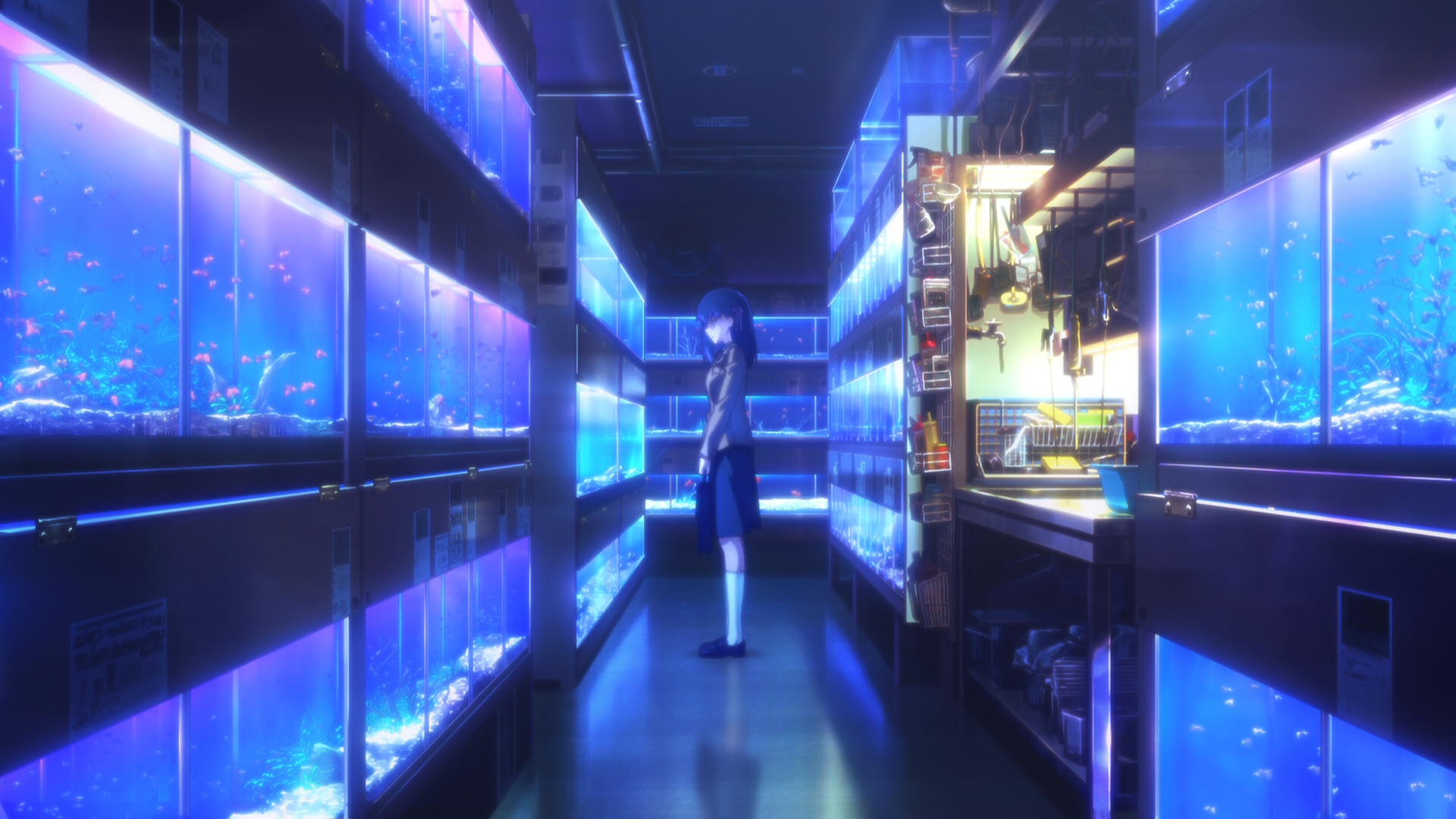 Anime 1920x1080 fate/stay night: heaven's feel digital art aquarium anime girls Matou Sakura Fate/Stay Night Fate series