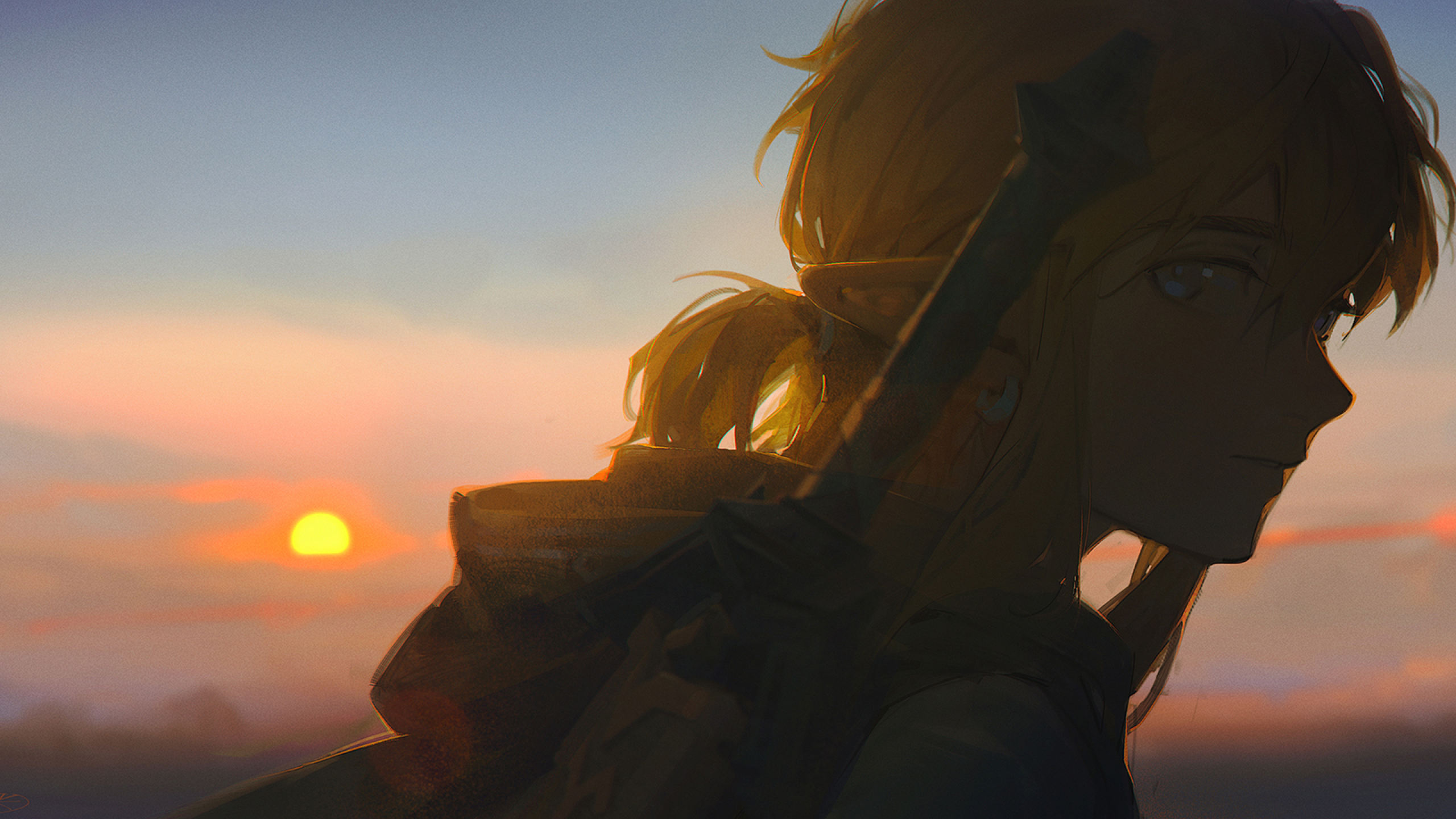 Anime 2560x1440 character design  video games video game boys video game characters Link The Legend of Zelda artwork sunset
