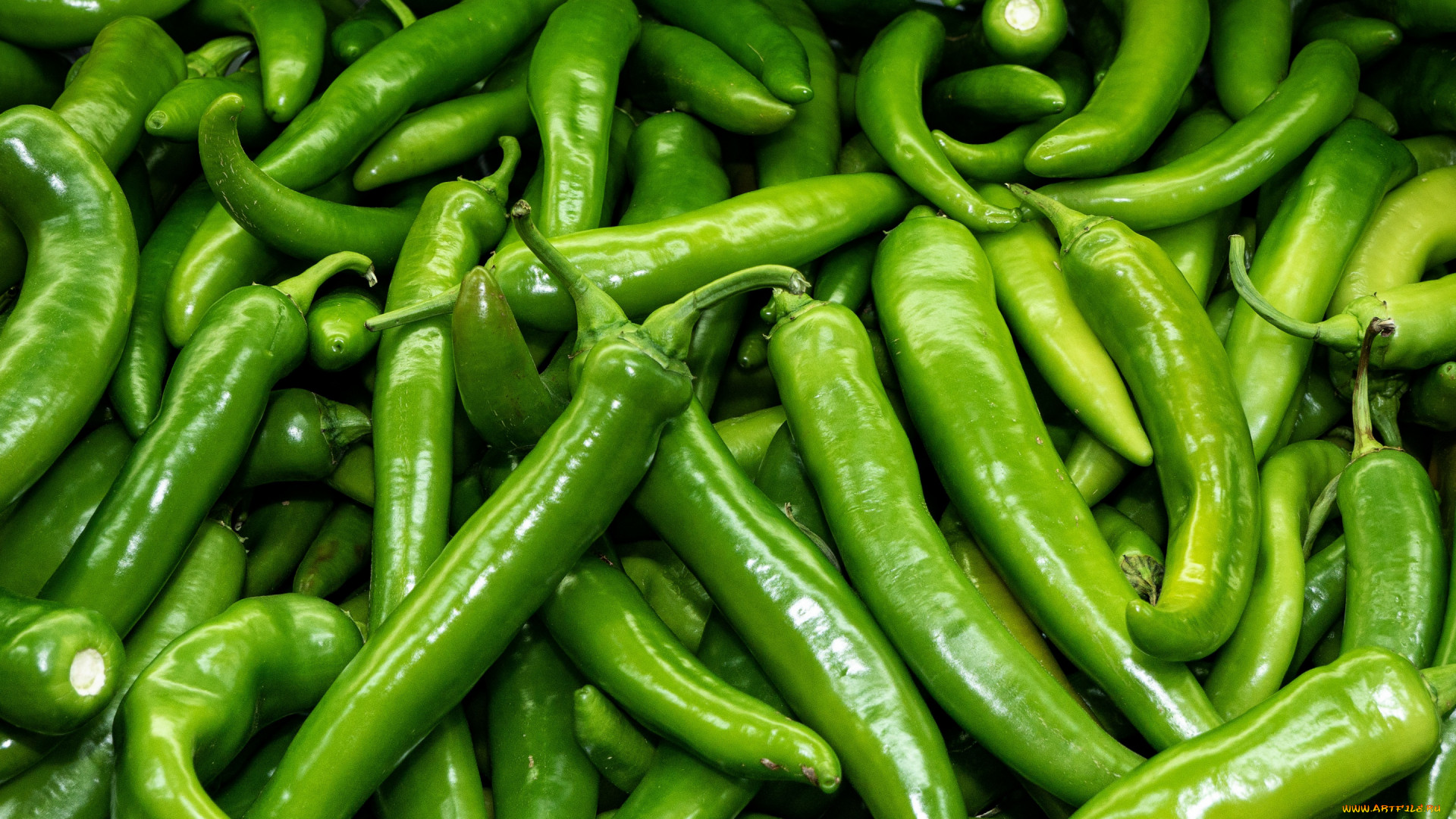 General 1920x1080 green food vegetables pepper