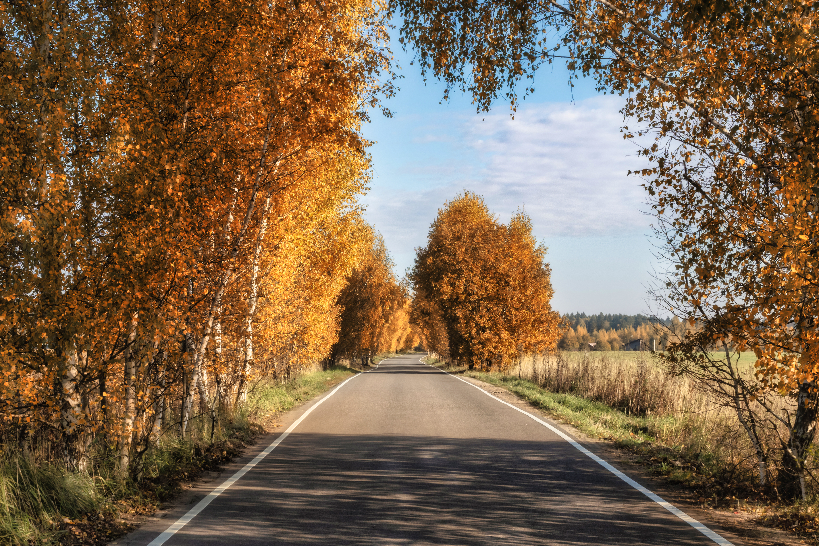General 2851x1901 road sky warm fall photography asphalt outdoors nature trees