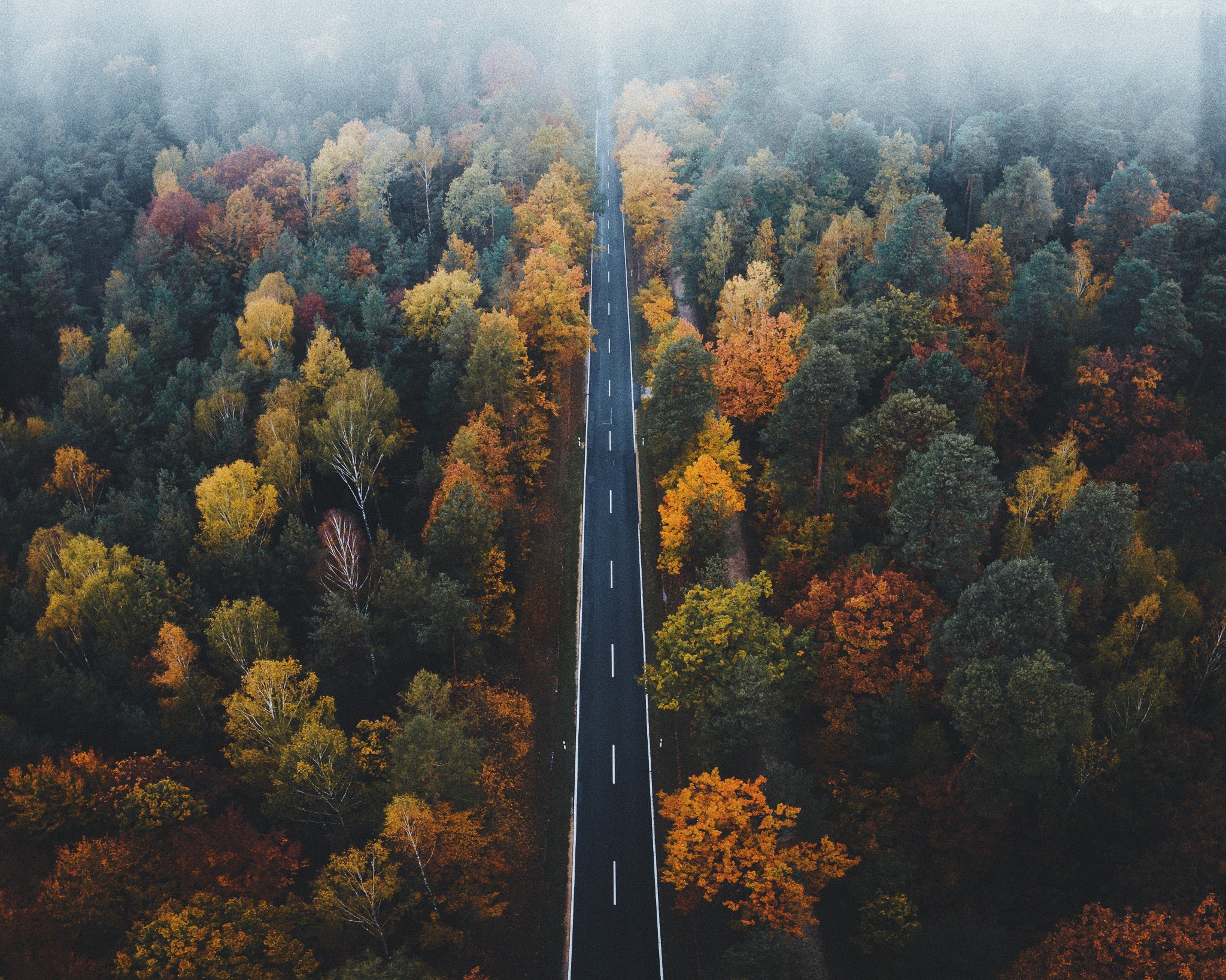General 2048x1638 road trees forest fall nature