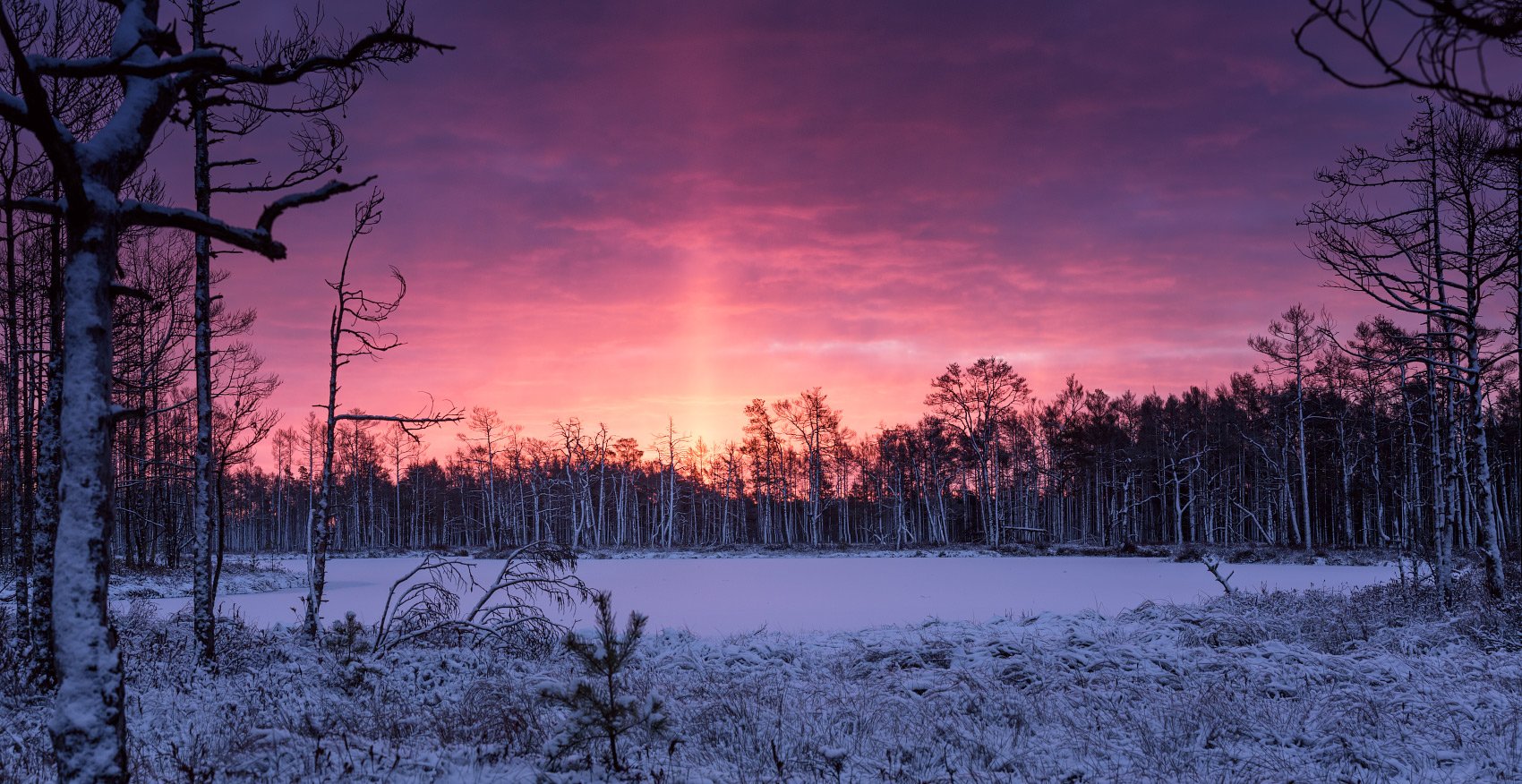 General 1700x876 forest trees sunset snow winter snow covered sky