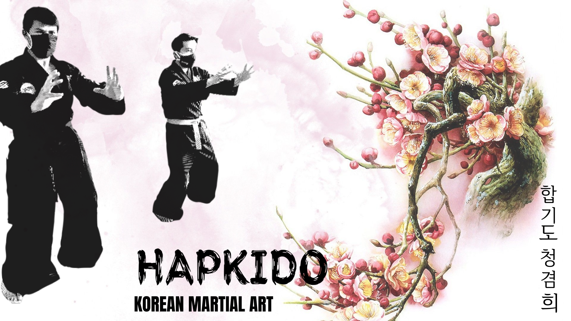People 1920x1080 hapkido korean martial arts men white background