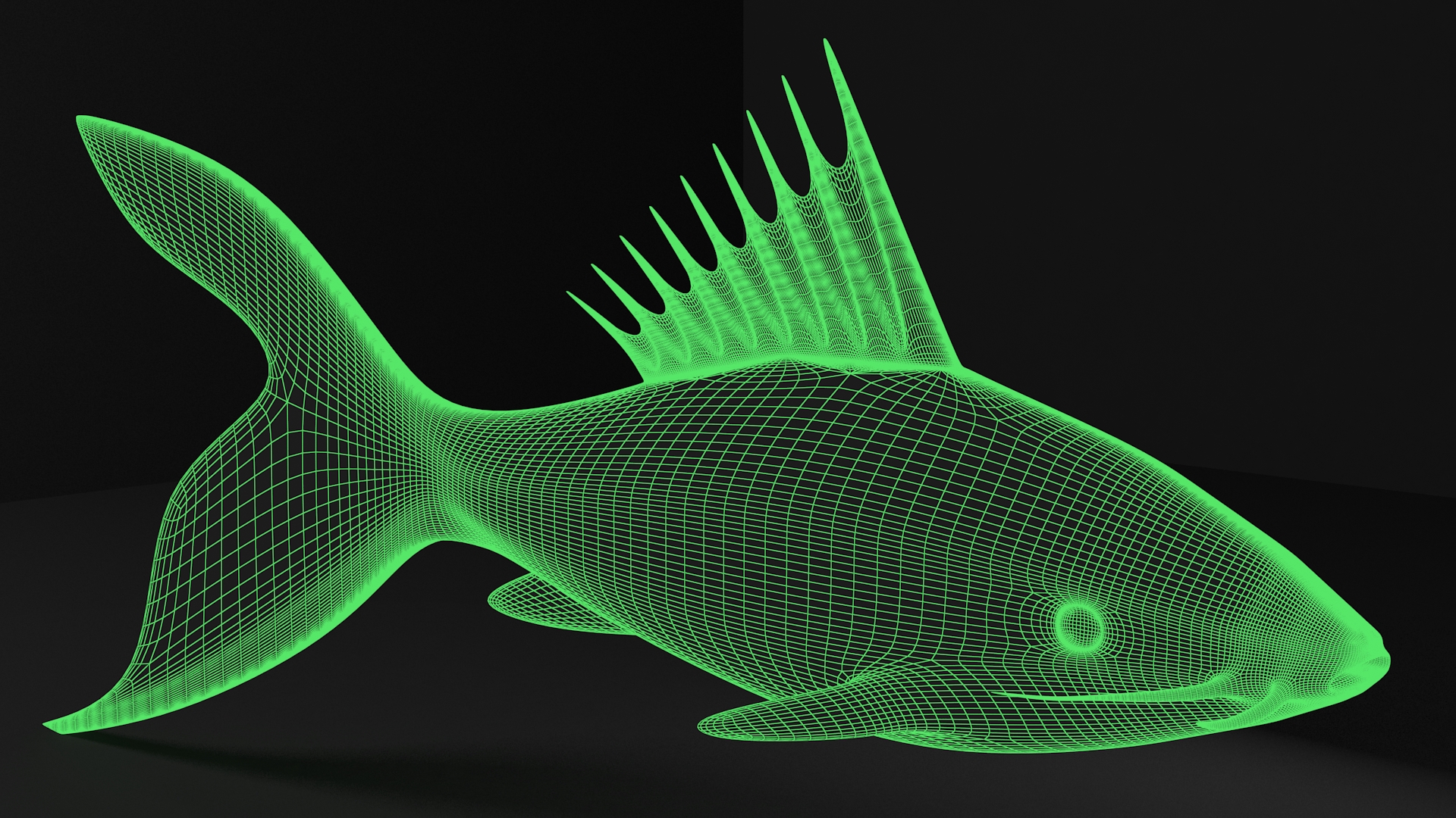 General 1920x1080 fish animals CGI digital art simple background black background green