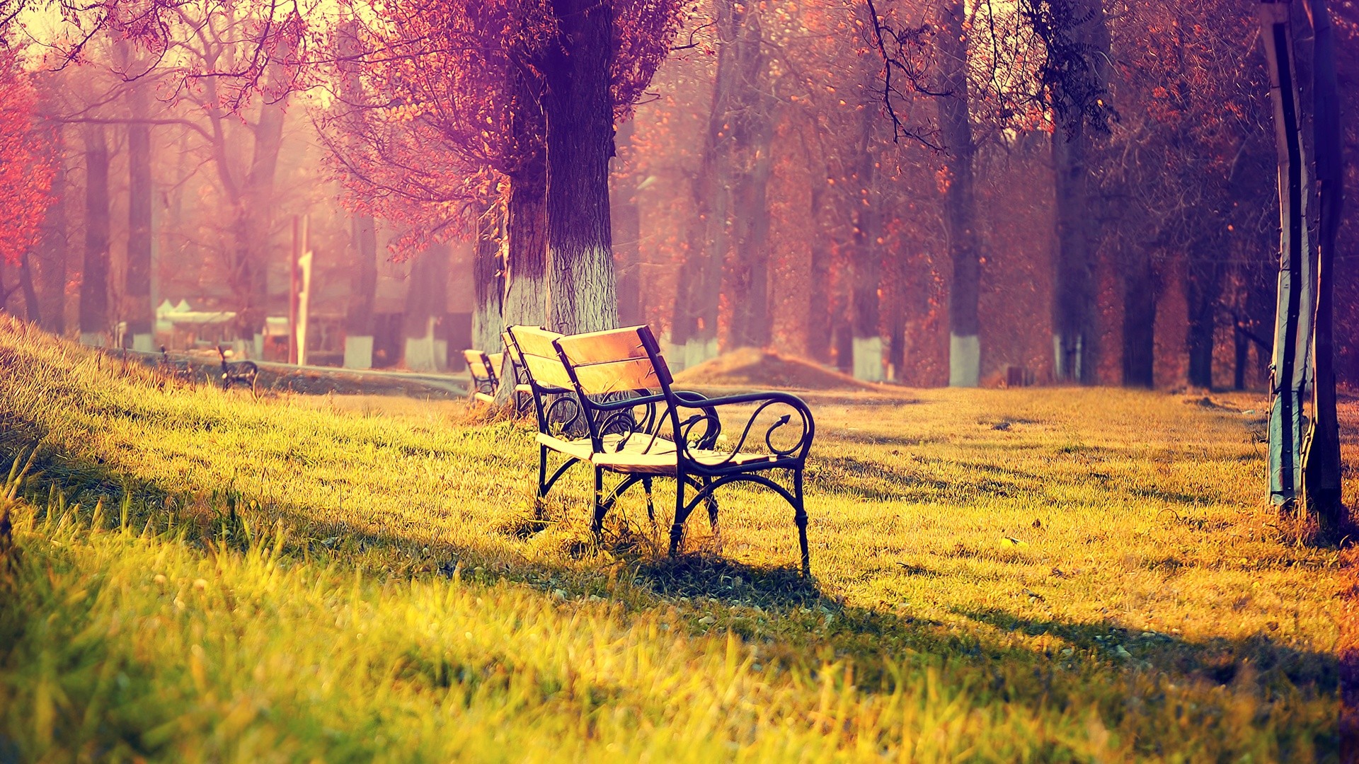 General 1920x1080 bench trees grass outdoors