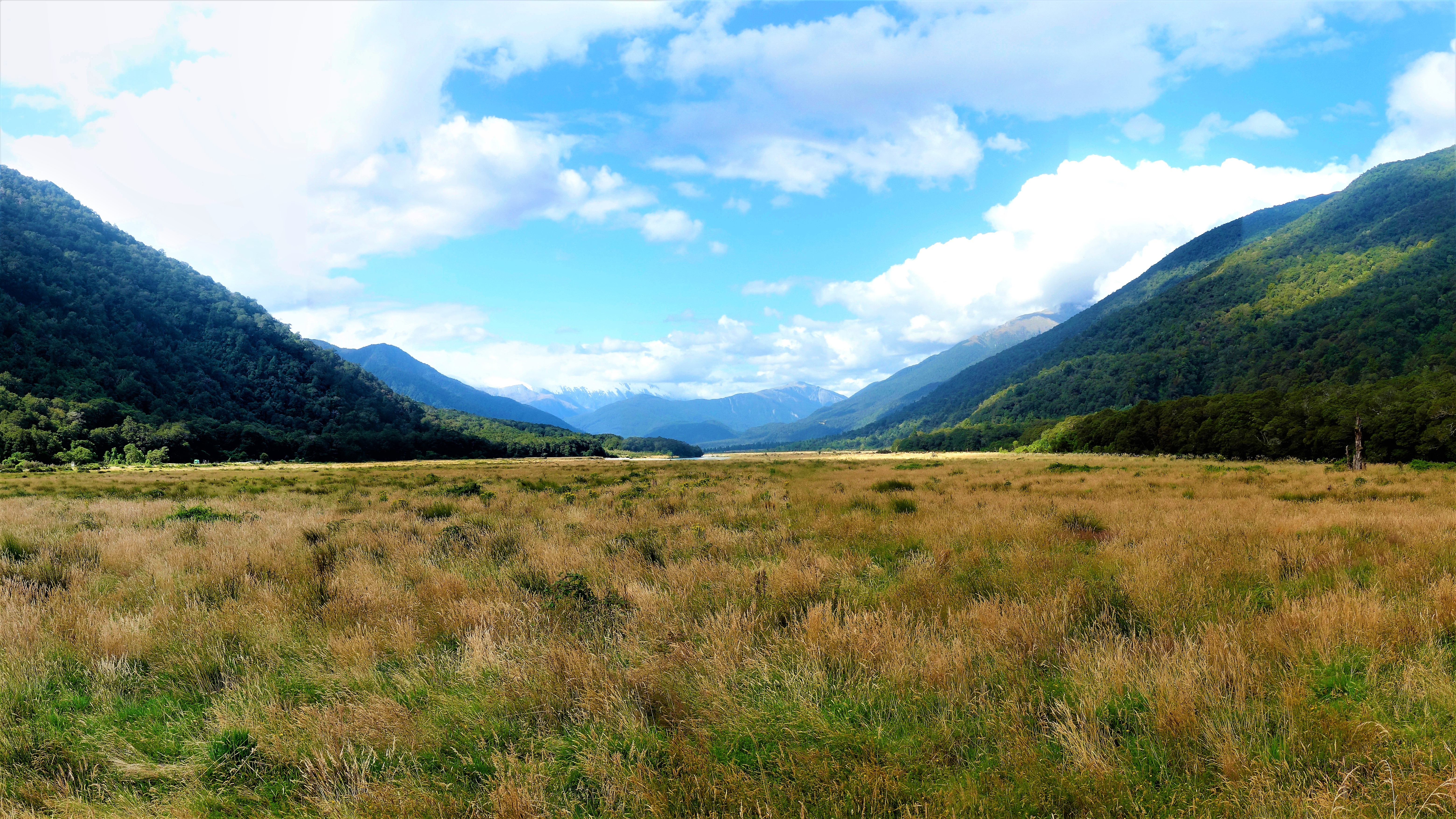 General 6240x3510 New Zealand valley nature landscape grass plants