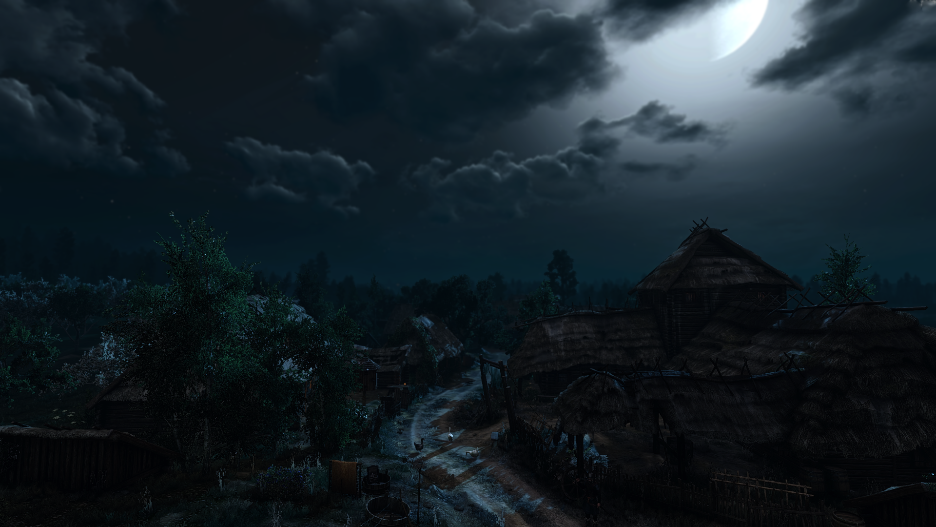 General 1920x1080 The Witcher The Witcher 3: Wild Hunt night village video games