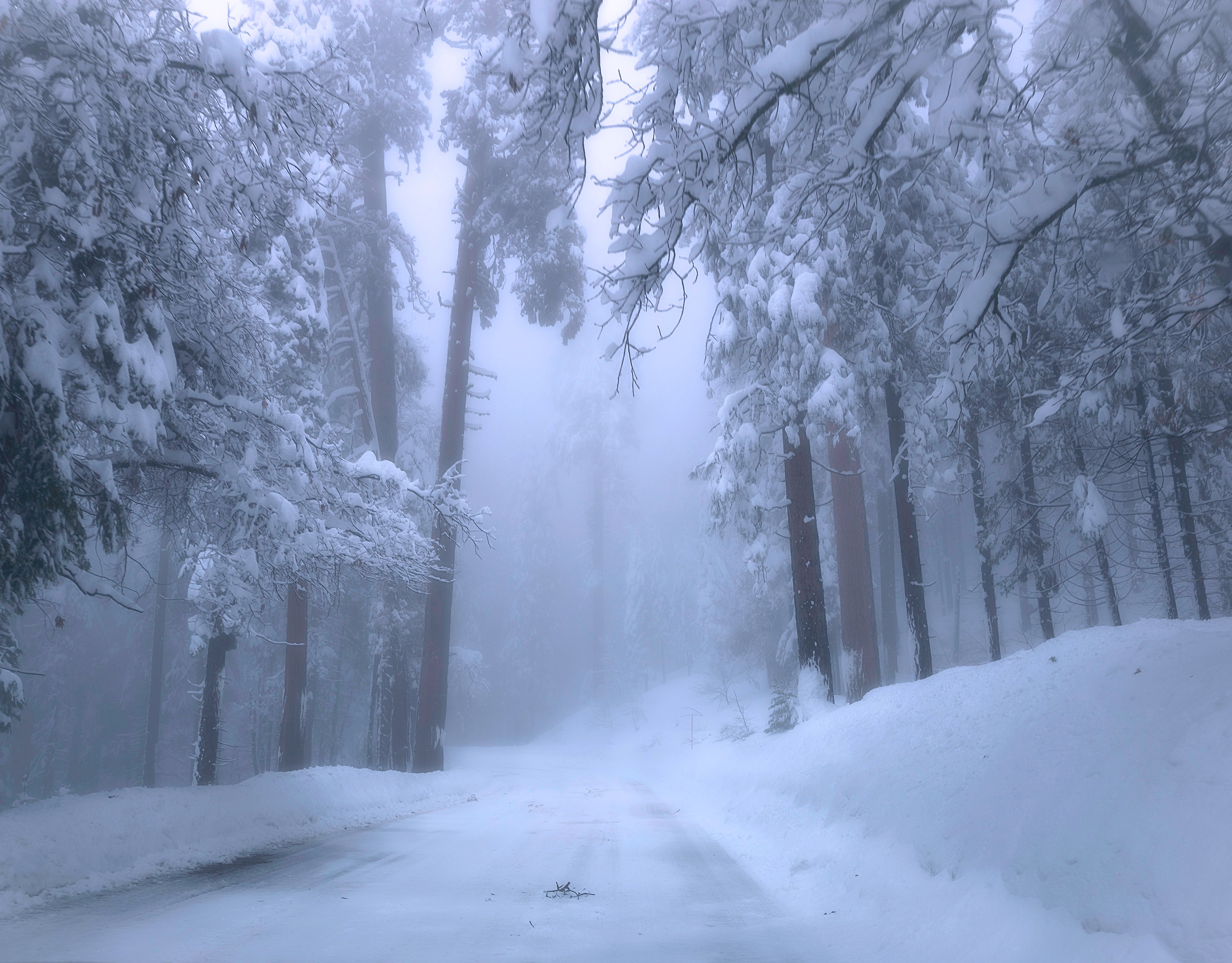General 3000x2346 winter nature Yosemite National Park trees mist snow