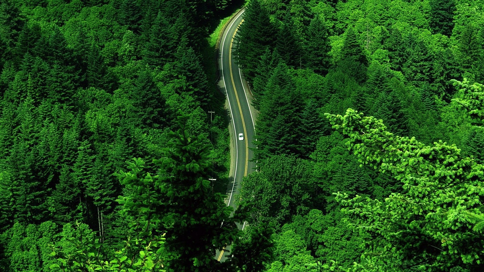 General 1920x1080 forest road landscape aerial view