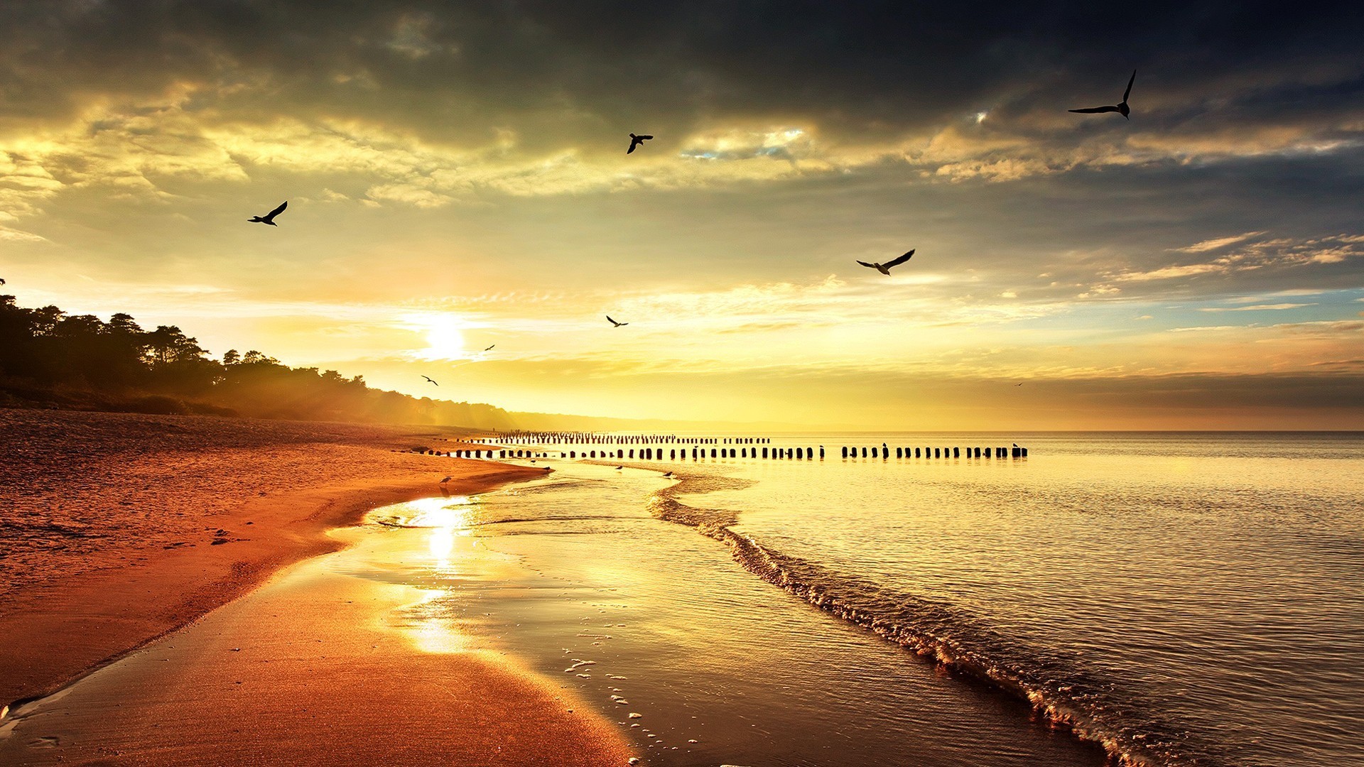 General 1920x1080 sunset sea seagulls beach horizon waves