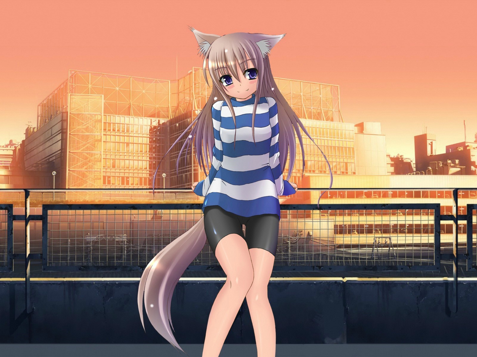 Anime 1600x1200 anime anime girls long hair cat ears smiling purple eyes tail