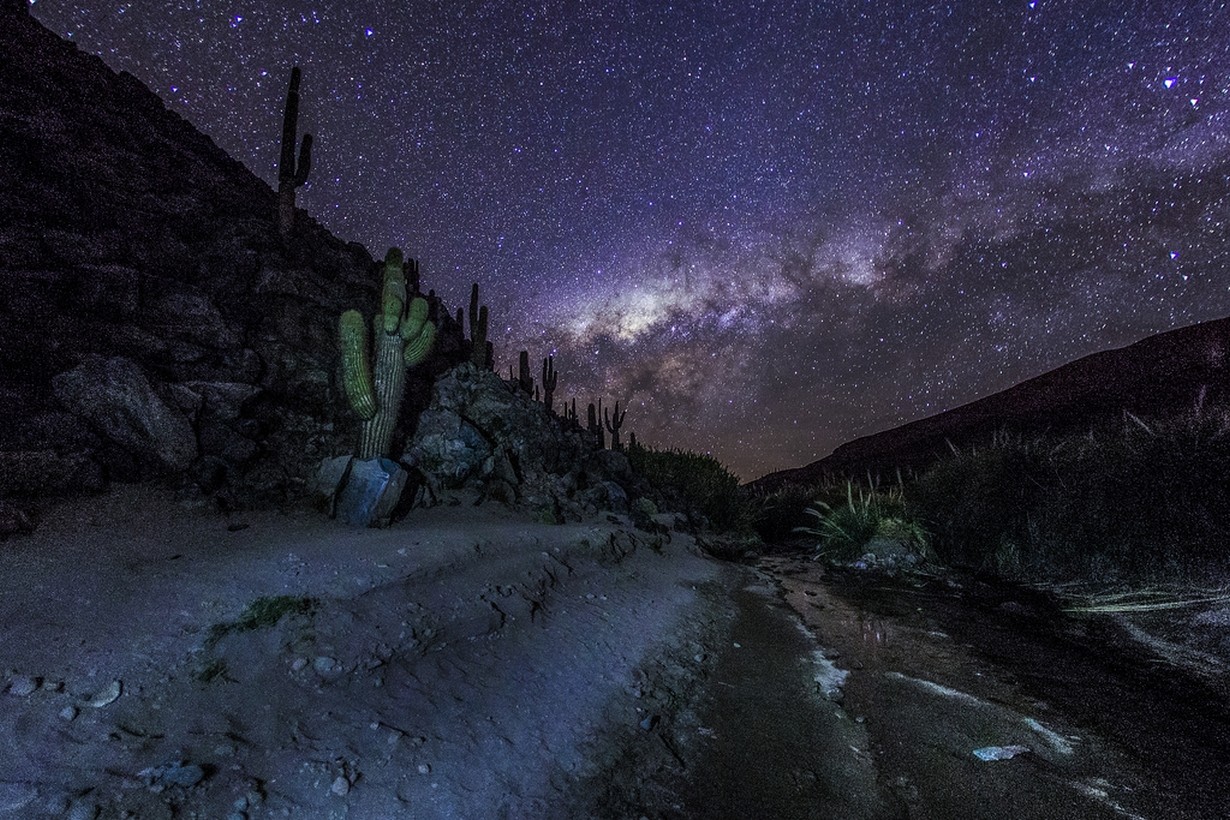General 1230x820 photography nature landscape mountains Milky Way starry night cactus galaxy long exposure Atacama Desert Chile South America