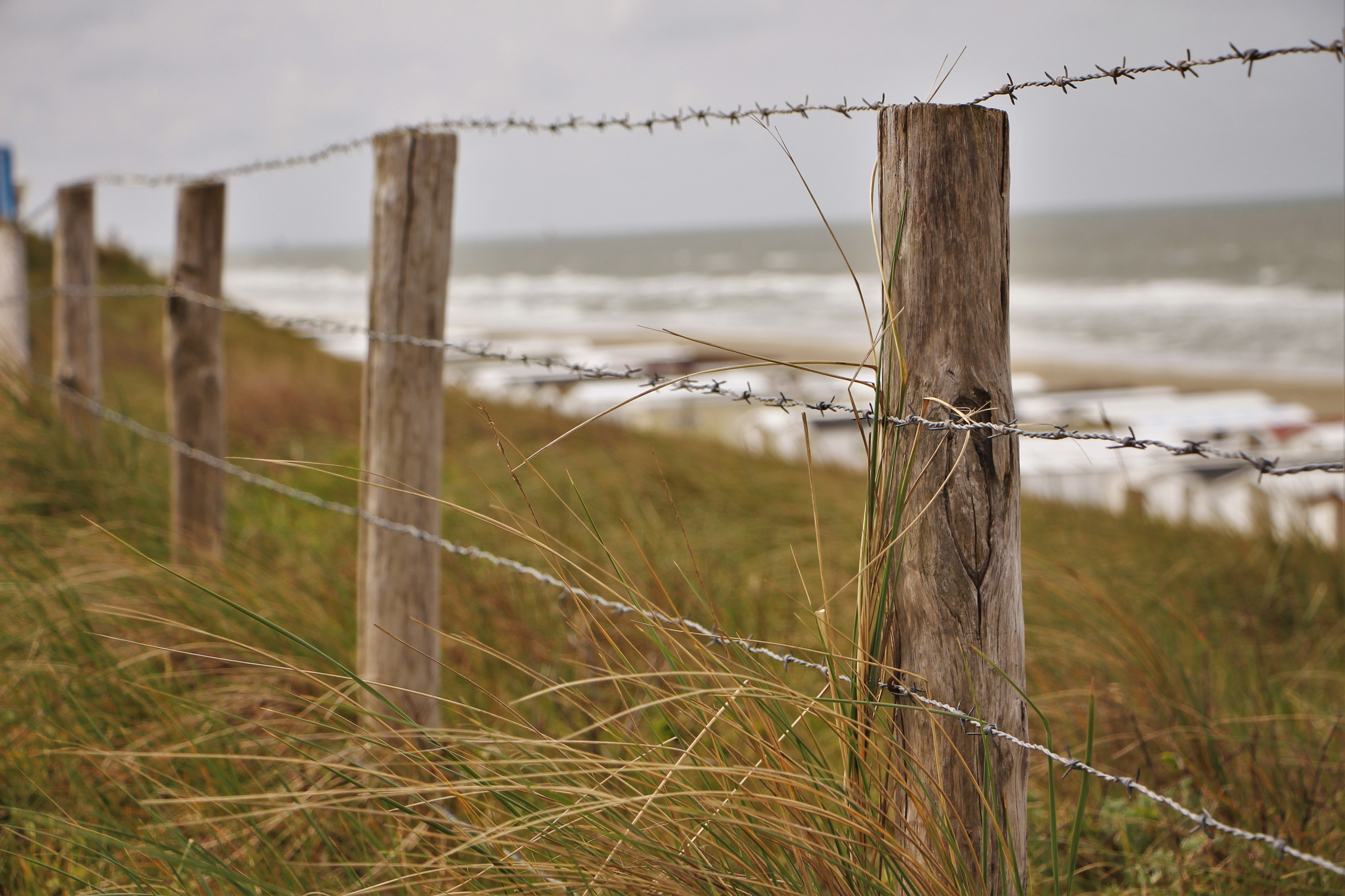 General 5184x3456 beach Dutch North Sea fence outdoors grass wood barbed wire