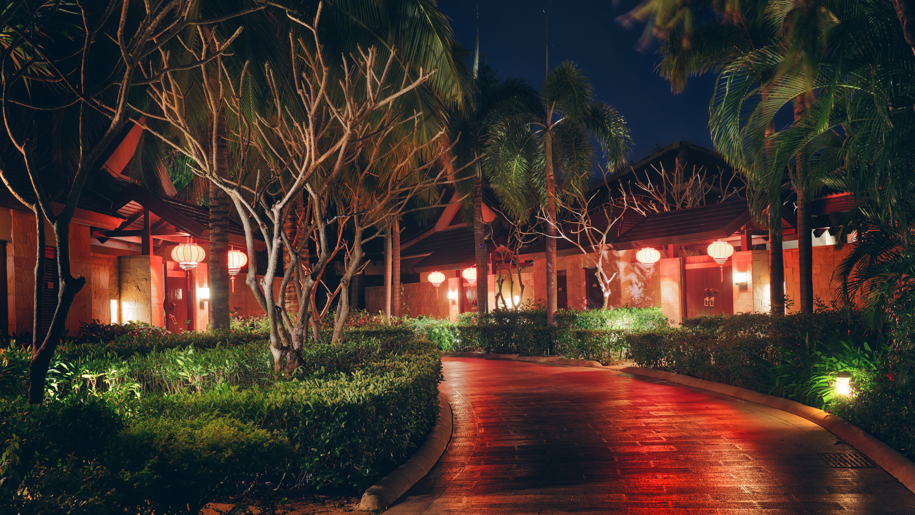 General 3840x2160 Trey Ratcliff photography garden trees palm trees house night lights path Sanya 4K