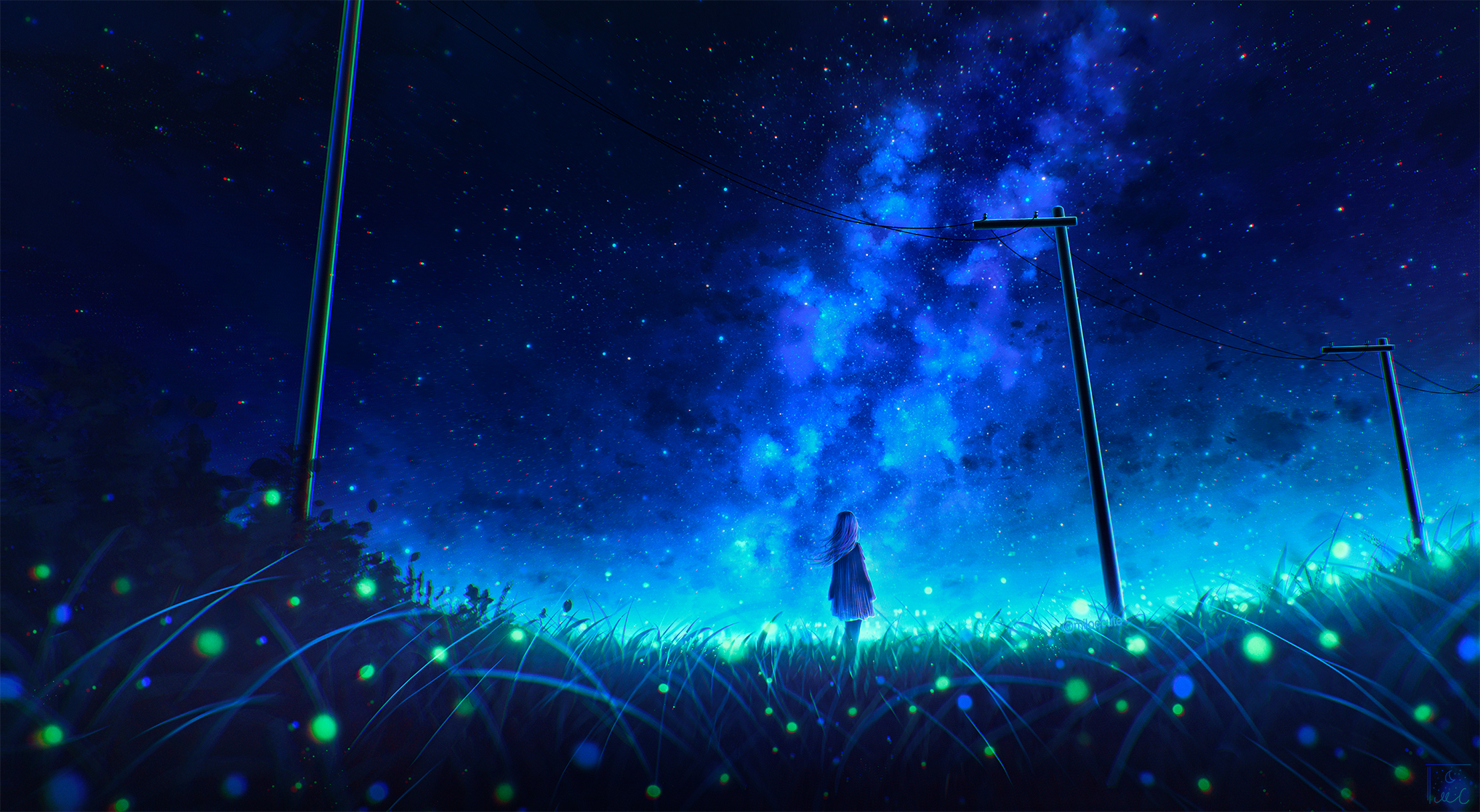 Anime 2036x1118 sky fireflies starry night anime girls grass night looking away