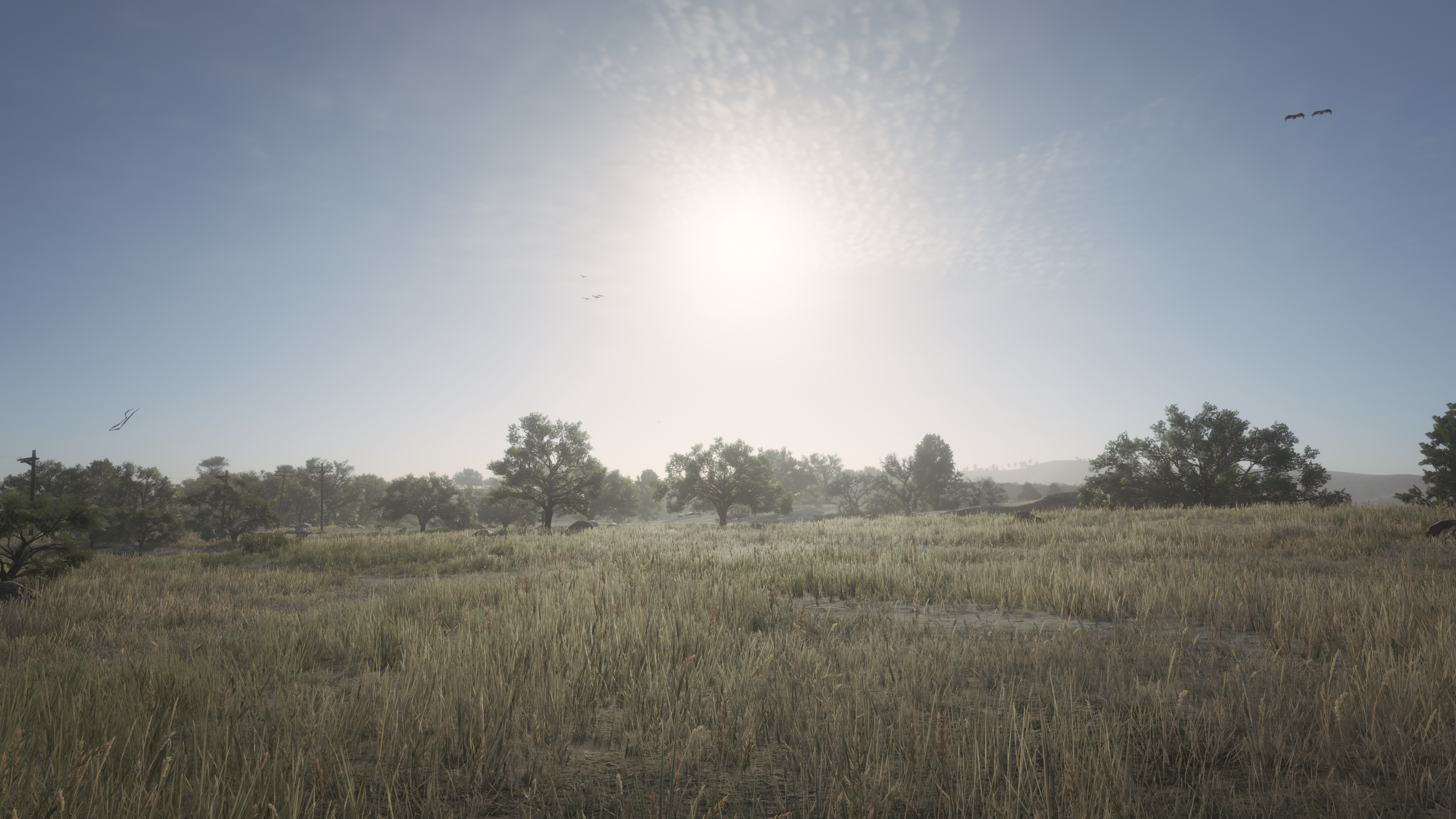 General 3840x2160 Red Dead Redemption 2 landscape grass video games CGI trees sky clouds Sun sunlight