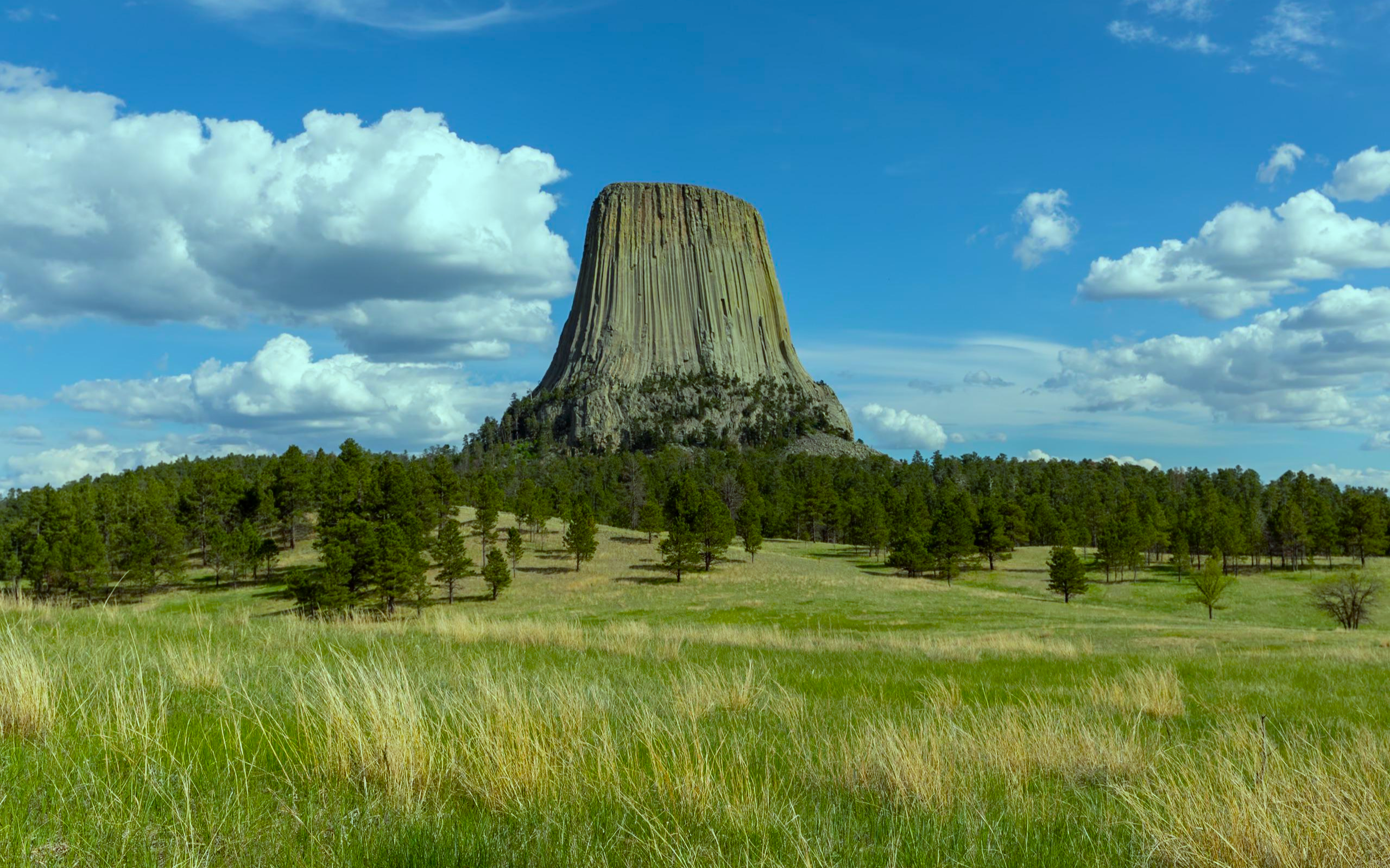 General 2560x1600 nature landscape grass trees field clouds sky rocks Devils Tower Wyoming USA