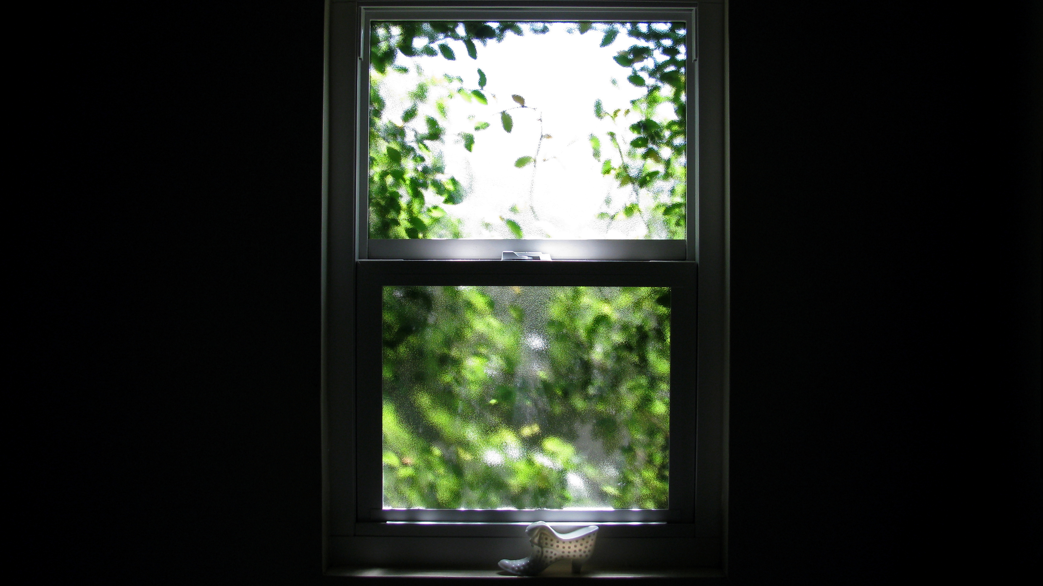 General 3456x1944 window vines green daylight photography