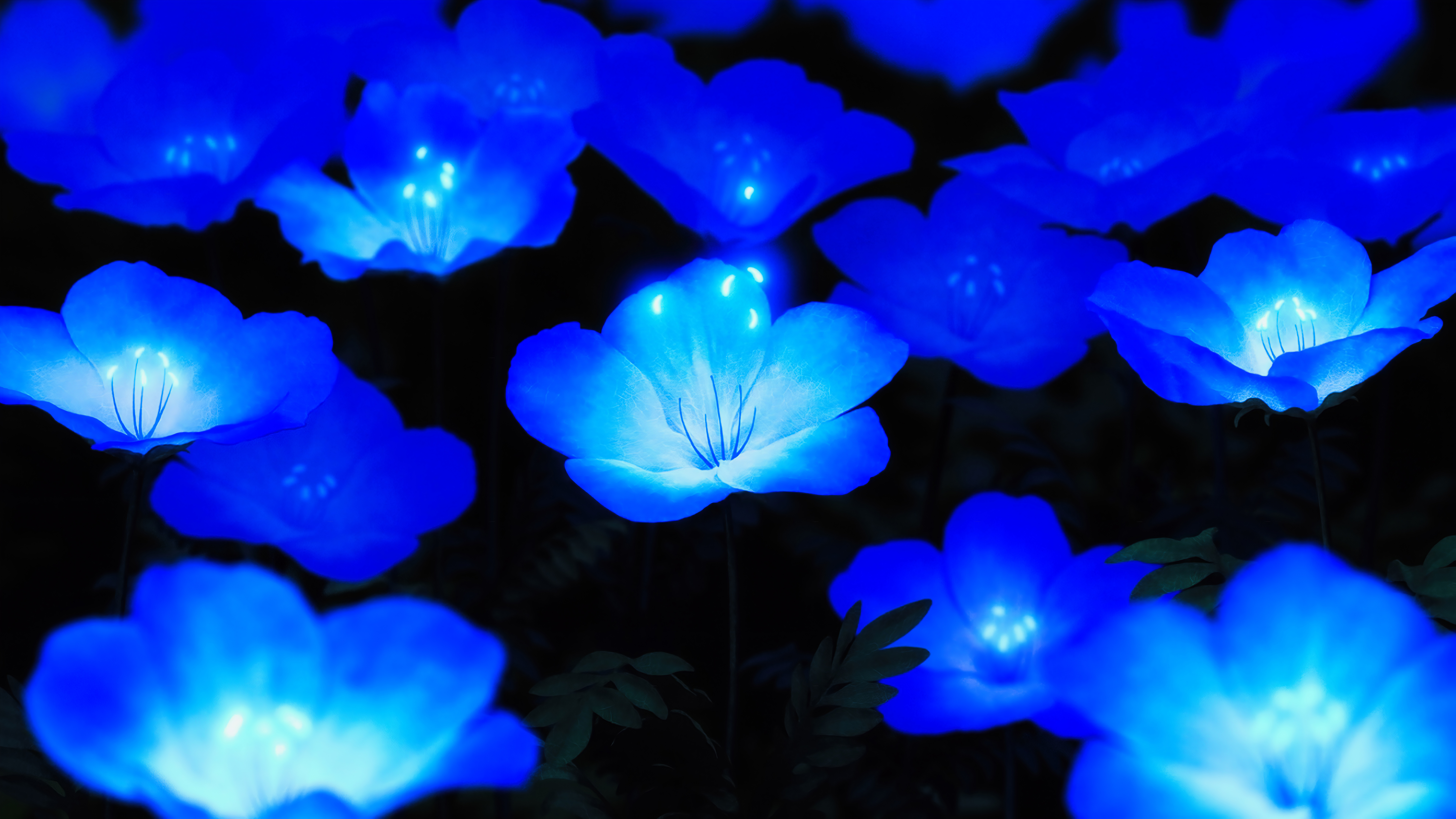 General 7680x4320 blue flowers glowing digital art