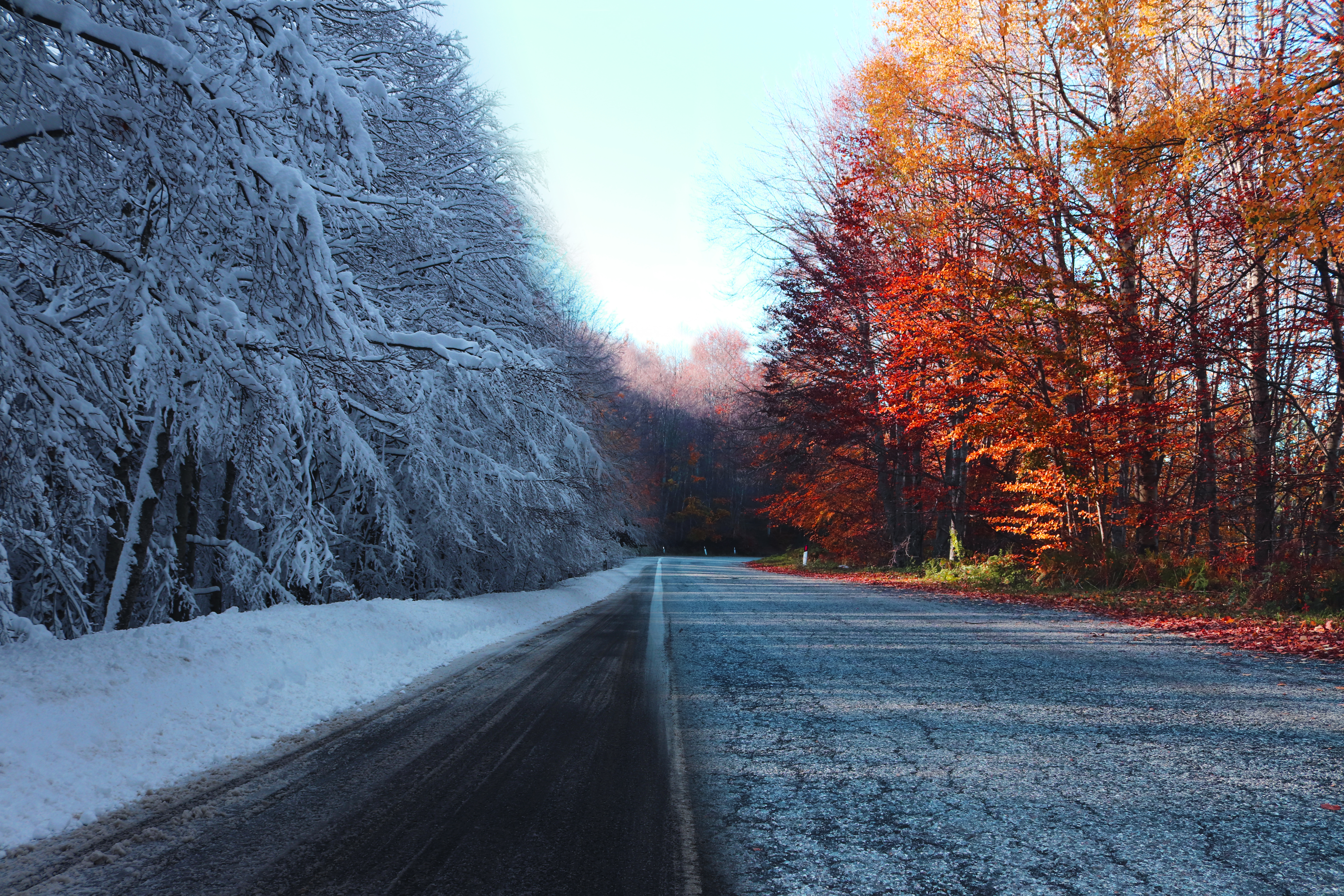 General 6000x4000 nature winter road landscape trees fall