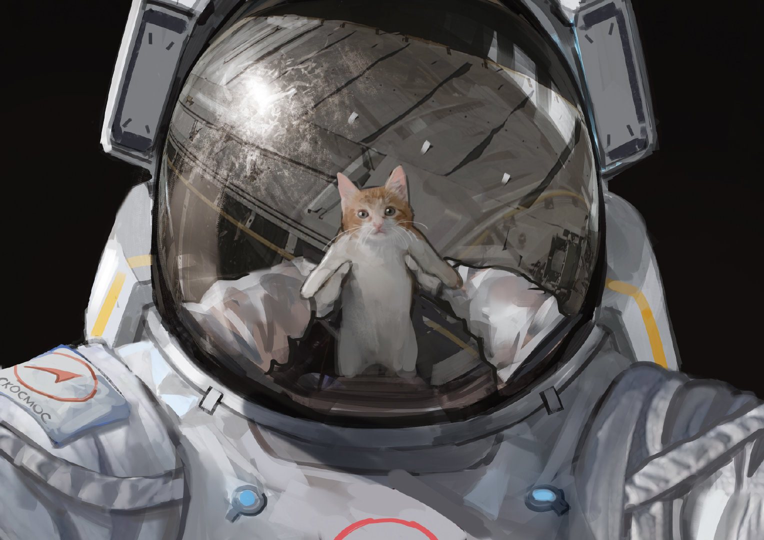 General 1528x1080 astronaut artwork cats space helmet reflection