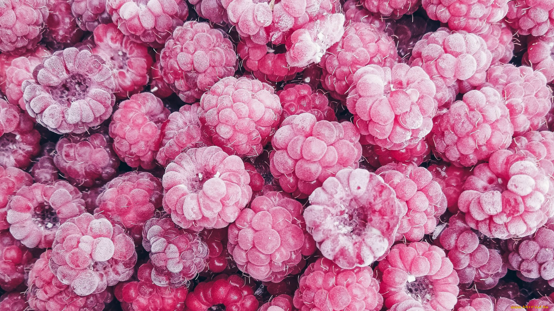 General 1920x1080 food fruit berries raspberries colorful frost