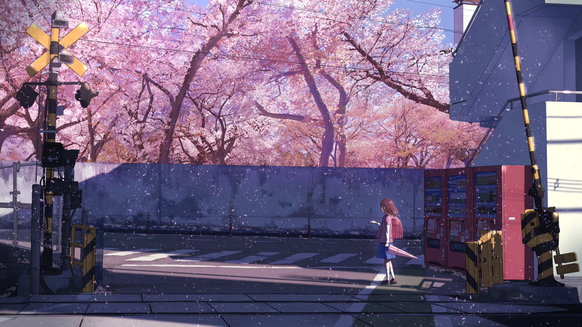 Anime 1920x1080 anime anime girls cherry blossom 5 Centimeters Per Second moescape