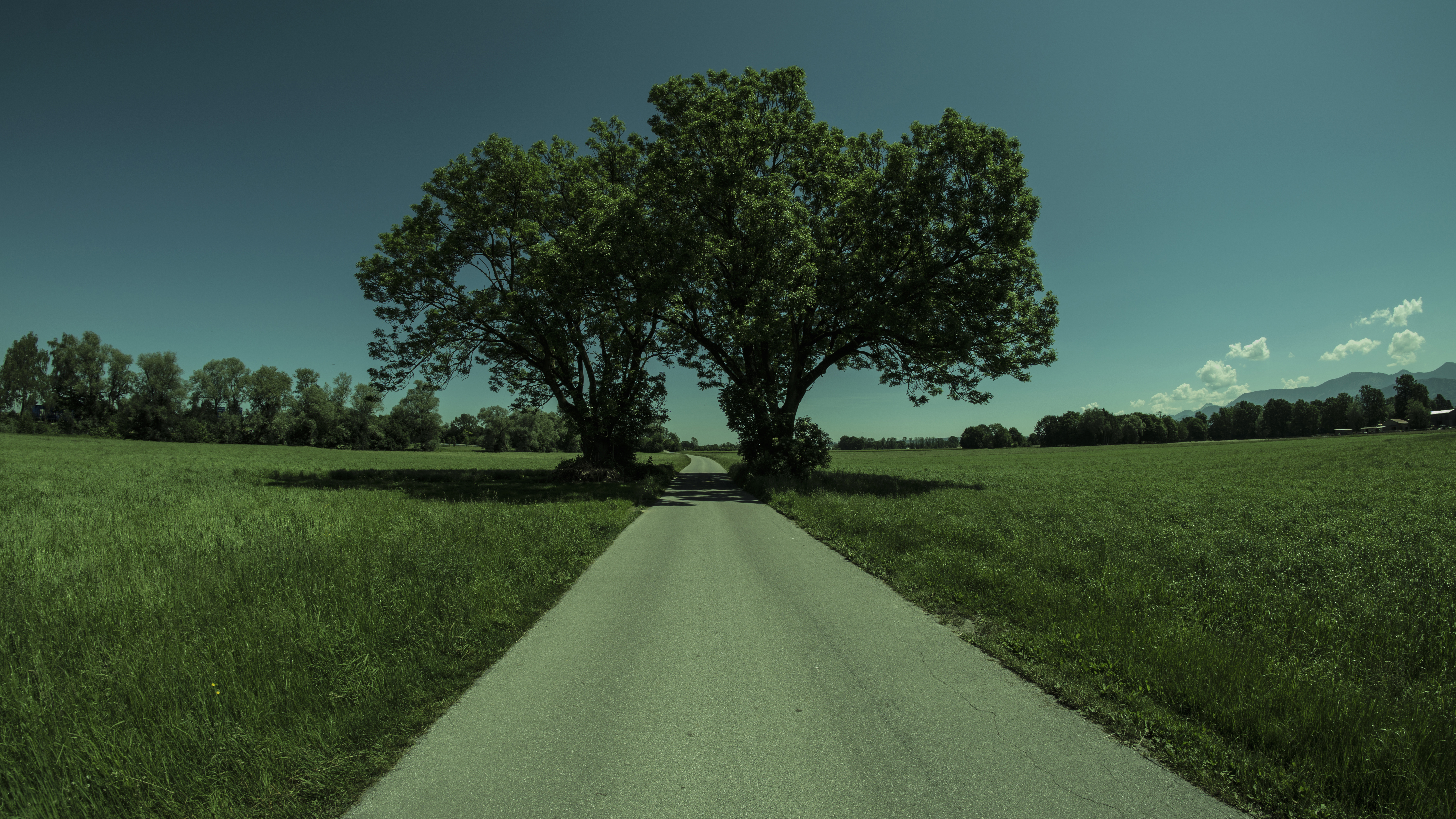 General 6000x3376 nature road trees sky clear sky clouds grass