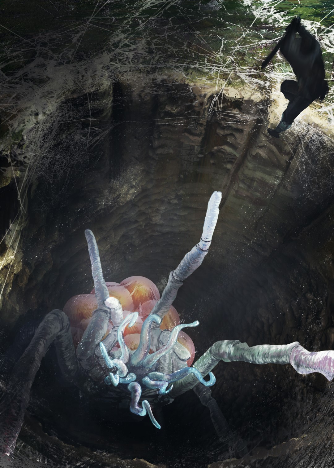 General 1080x1510 spider cave eggs Guillaume Hochart