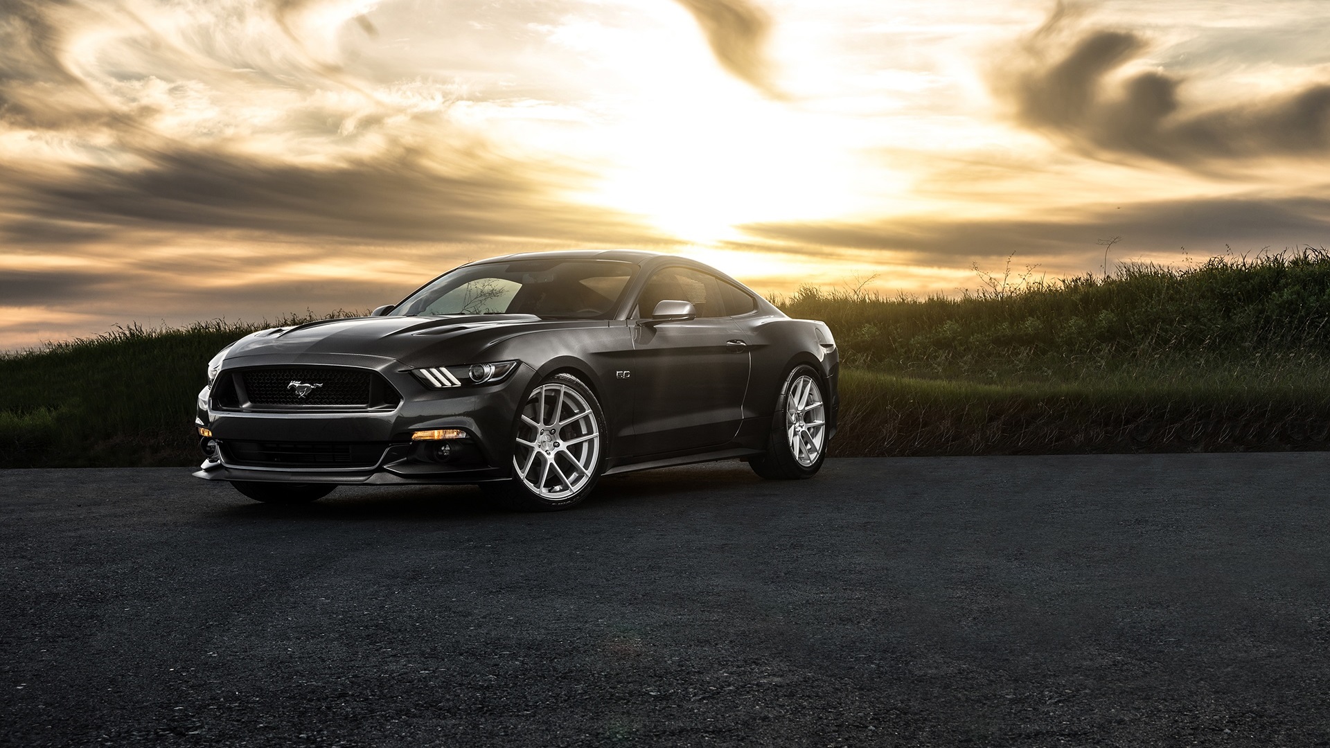General 1920x1080 Ford Mustang Sun clouds plants car Ford vehicle Ford Mustang S550 muscle cars American cars