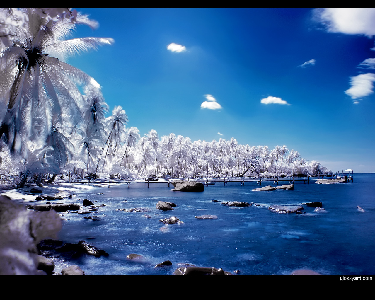 General 1280x1024 nature infrared