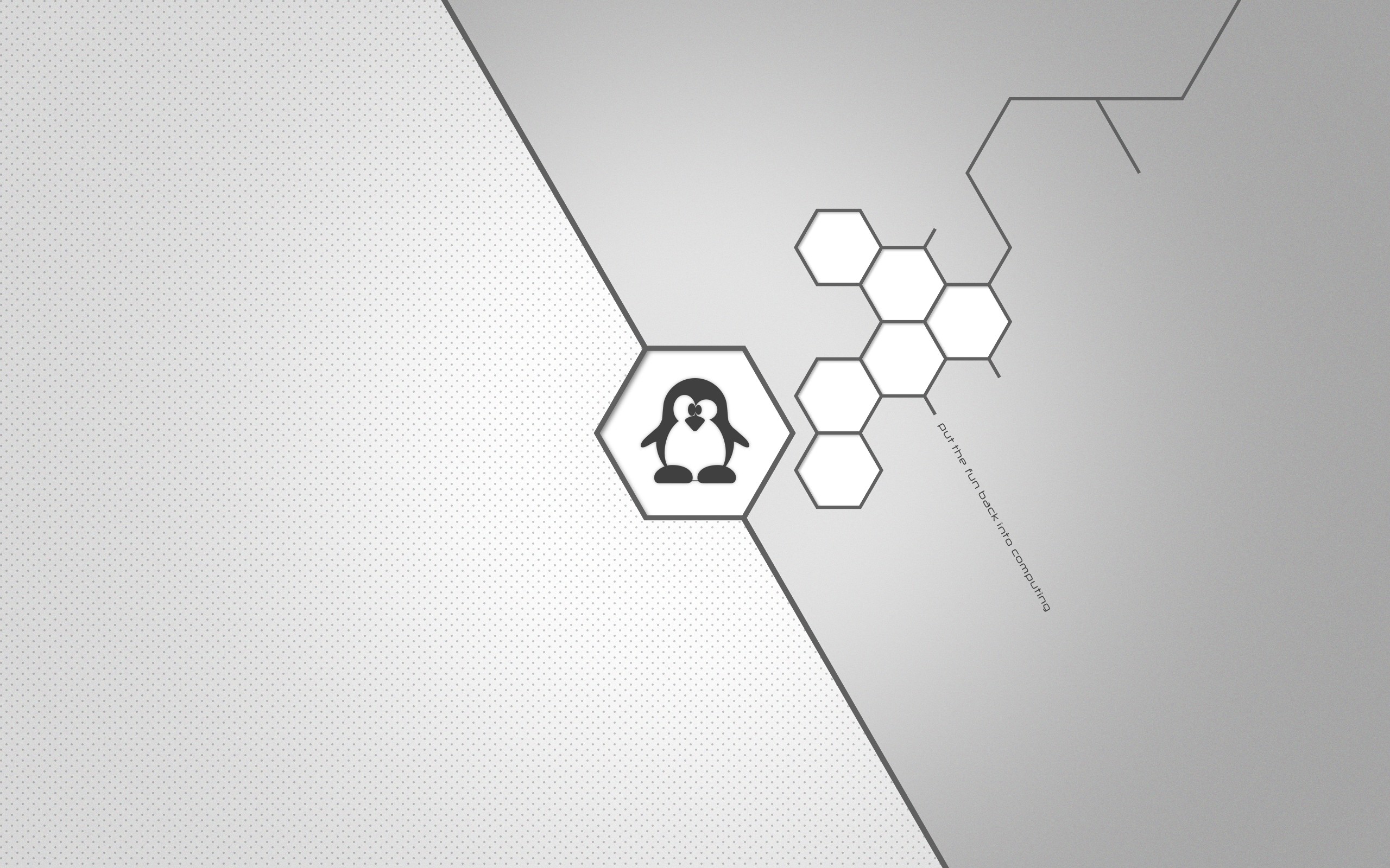 General 2560x1600 Linux computer technology hexagon operating system text penguins animals shapes digital art Tux
