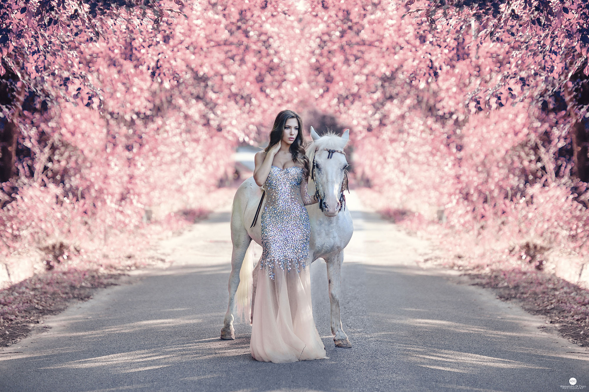 People 2000x1333 women Alessandro Di Cicco brunette long hair dress silver road horse white pink leaves women with horse