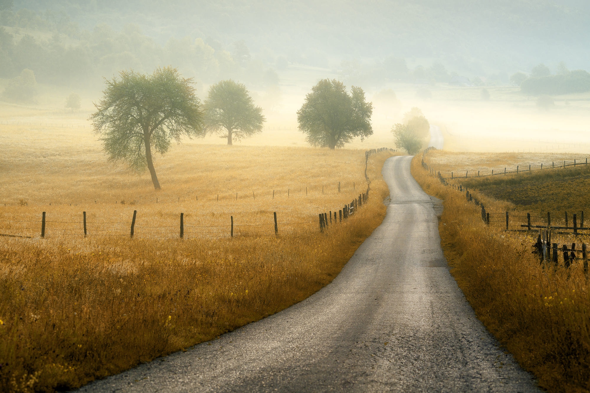 General 2000x1334 landscape road field trees mist