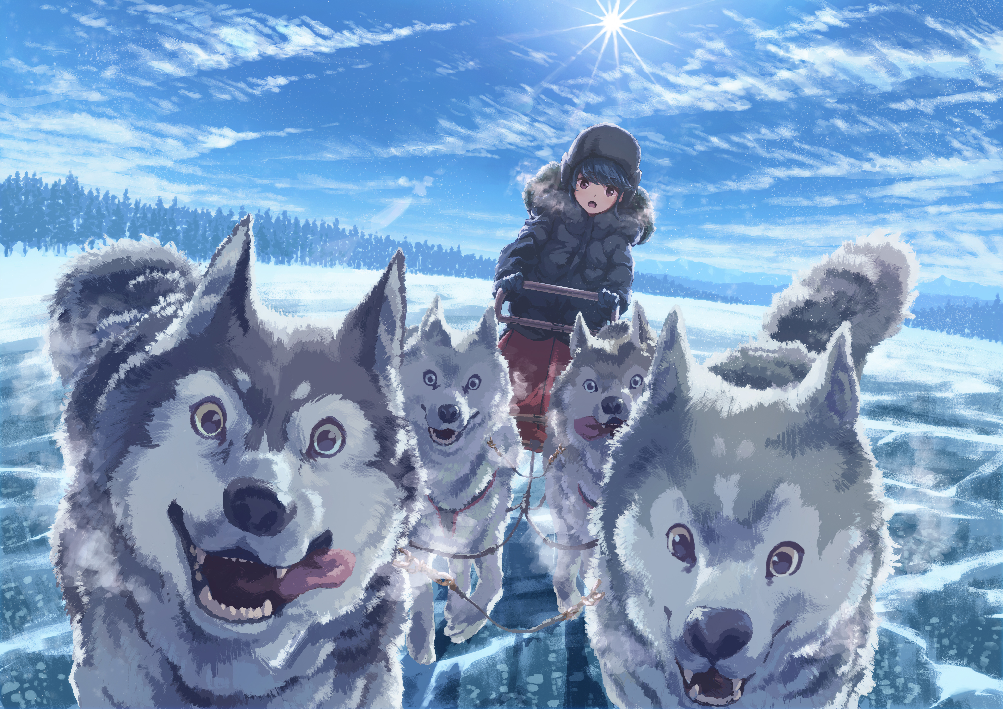 Anime 4093x2894 anime anime girls Sun sky clouds forest snow purple eyes blue hair Siberian Husky  open mouth ice sled dog Yuru Camp Rin Shima