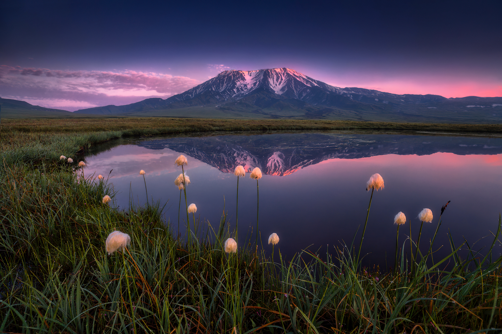 General 1920x1280 flowers grass water mountains landscape nature photography night outdoors