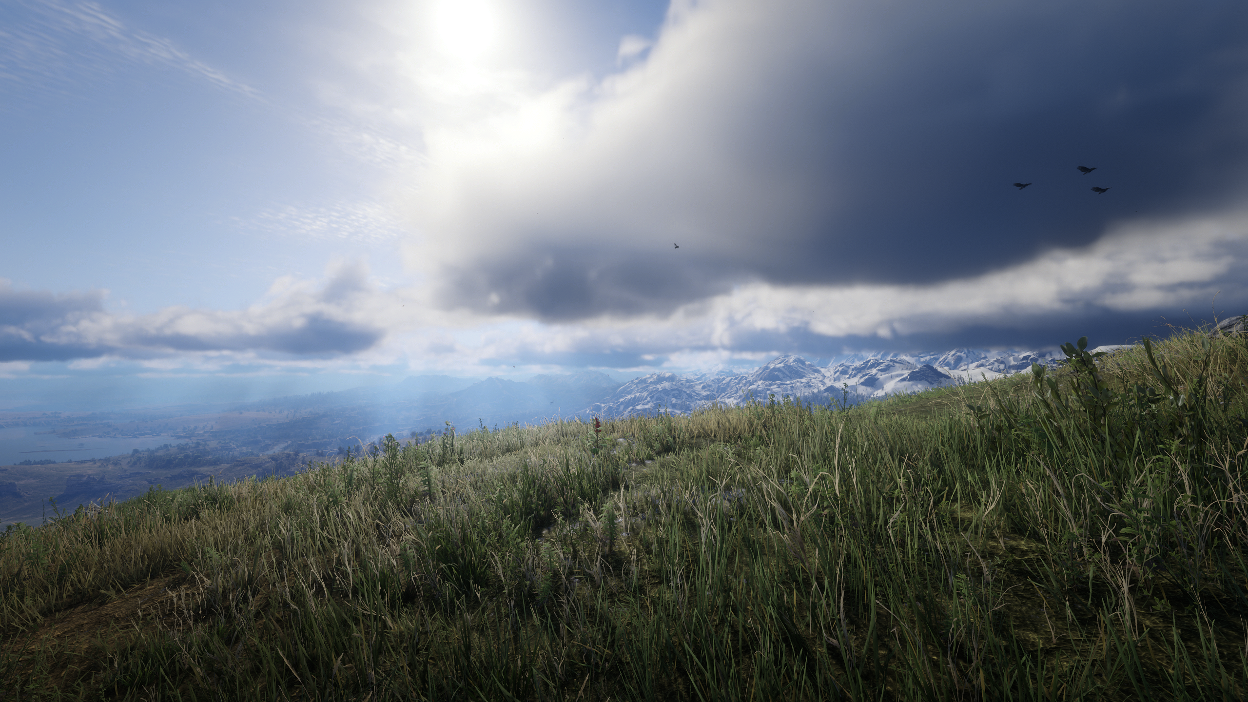 General 2560x1440 Red Dead Redemption 2 video games video game landscape grass mountains