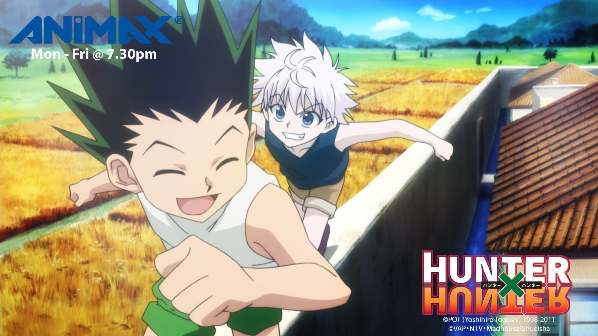 Hunter x Hunter Gon Freecss 5 HD Anime Wallpapers, HD Wallpapers