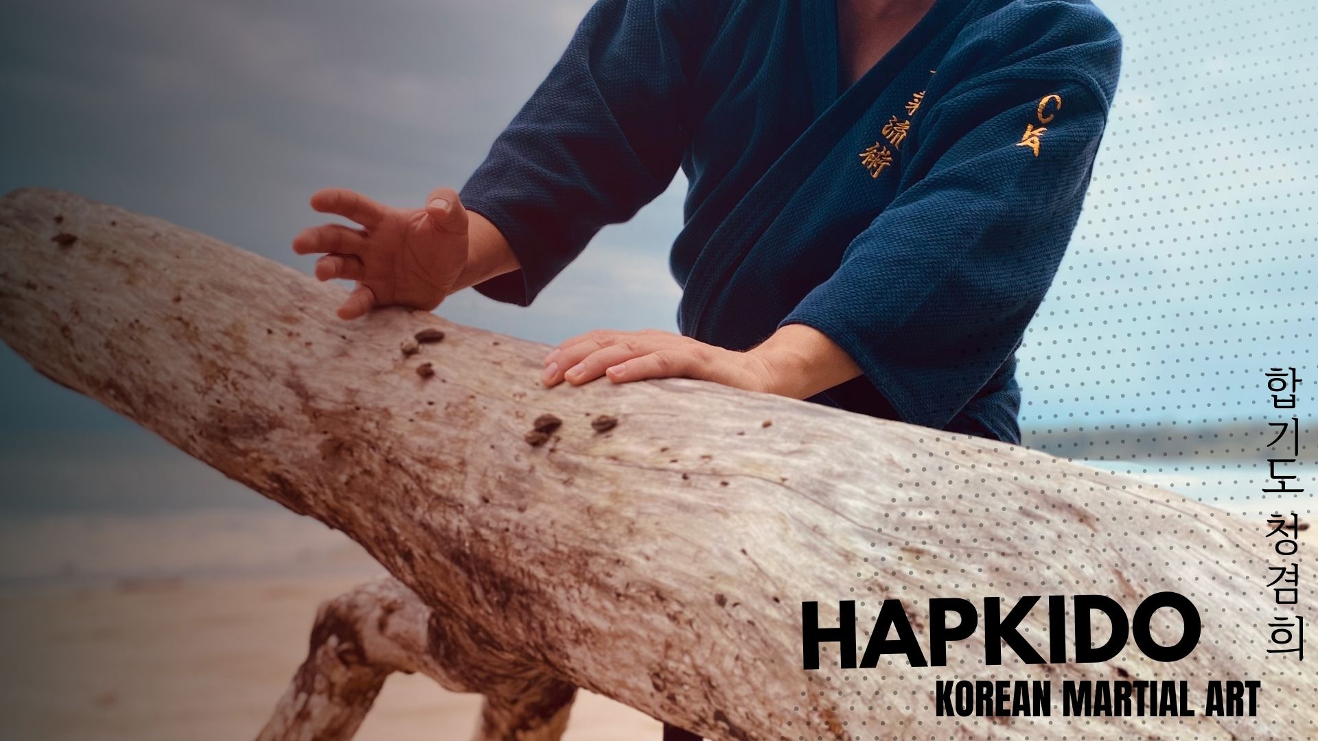 People 1920x1080 hapkido korean martial arts men wood Asian