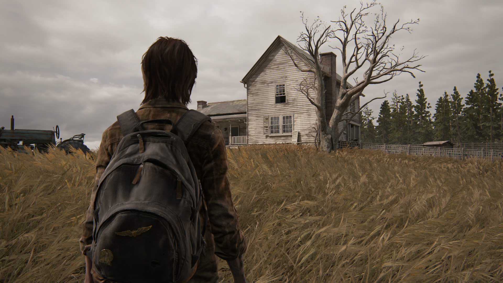Wallpaper : The Last of Us, video games, PlayStation 1920x1080