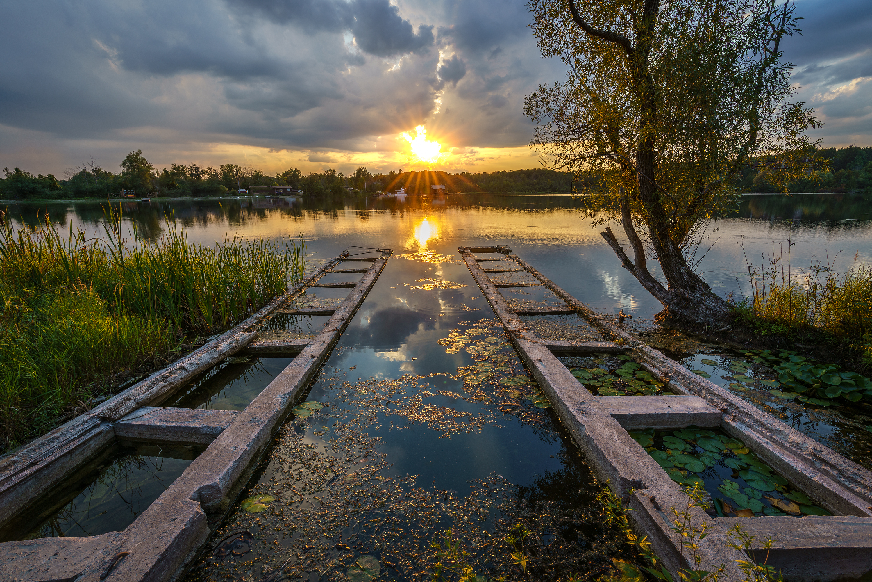 General 3000x2001 sunset outdoors nature photography water clouds sky trees water lilies reeds